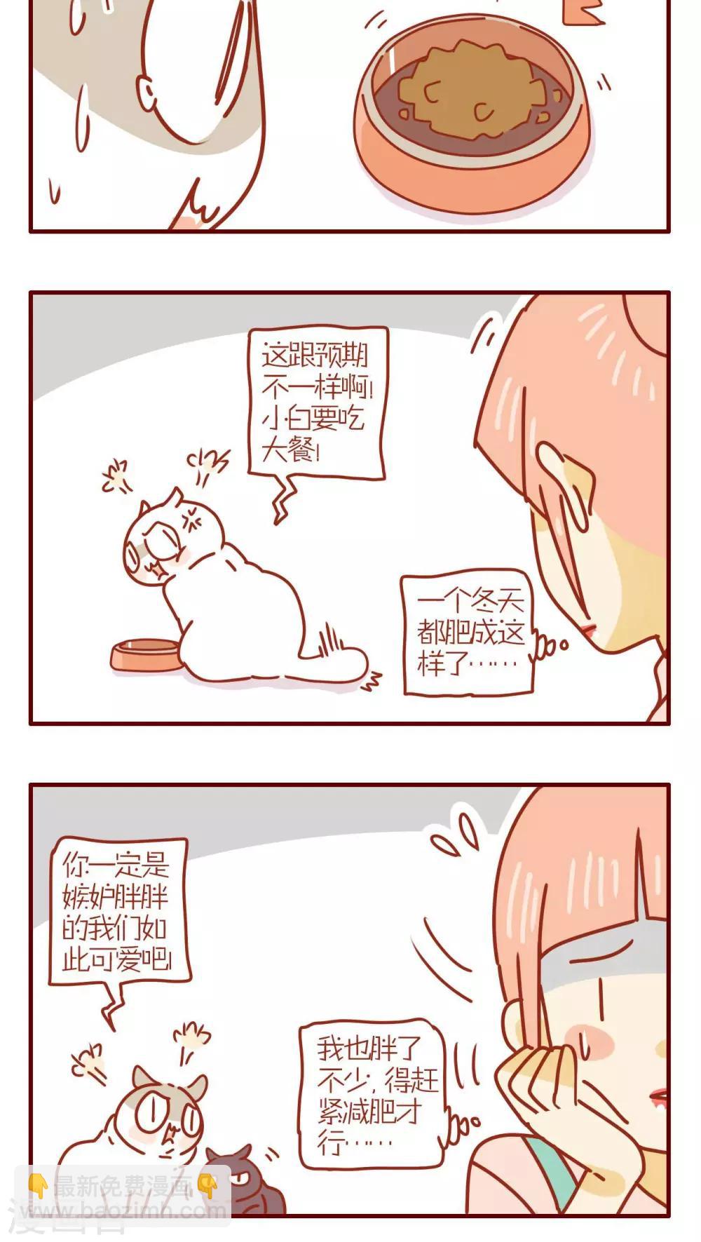 《猫咪甜品屋》第251话 第4页