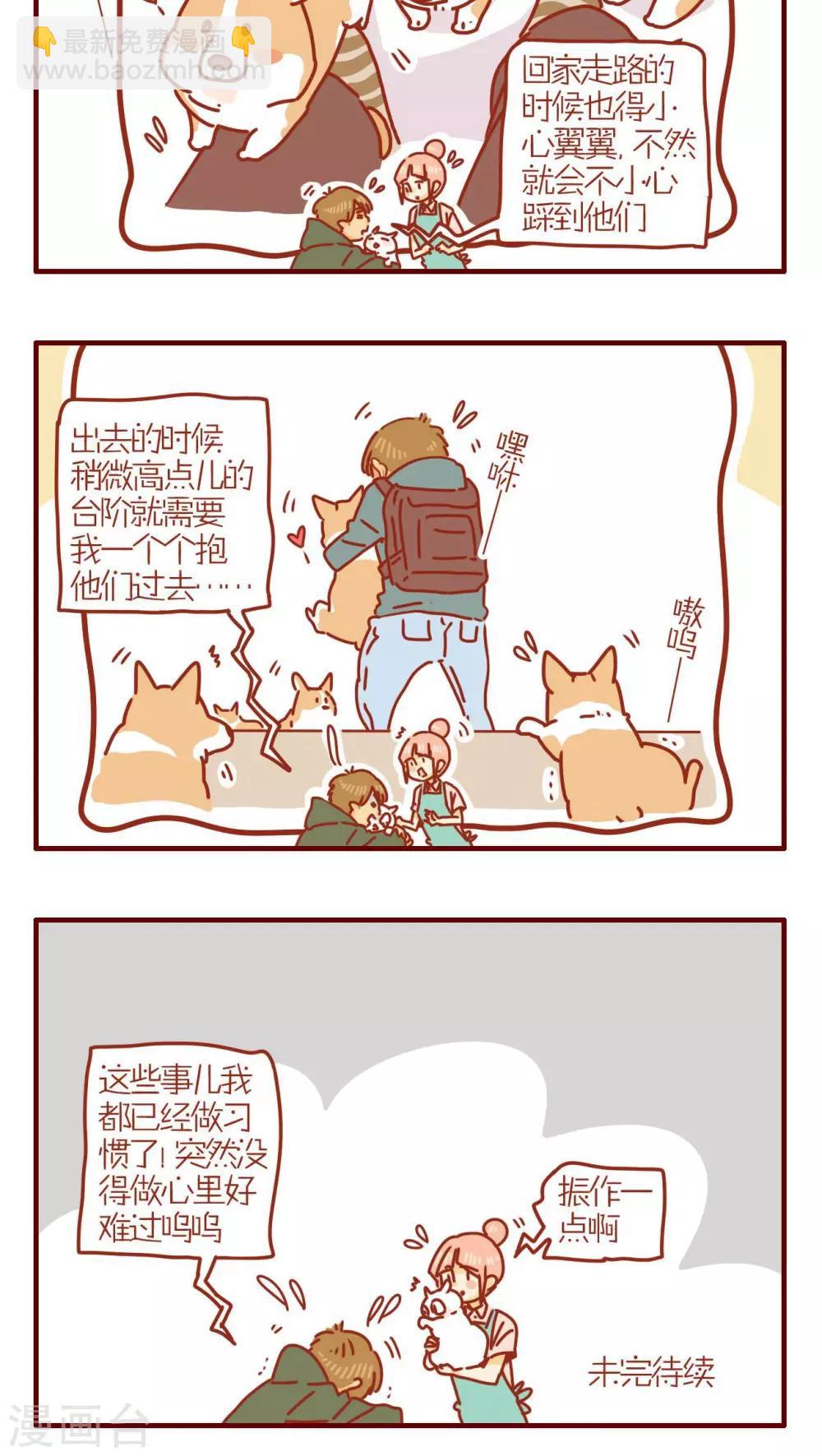 《猫咪甜品屋》第252话 第4页