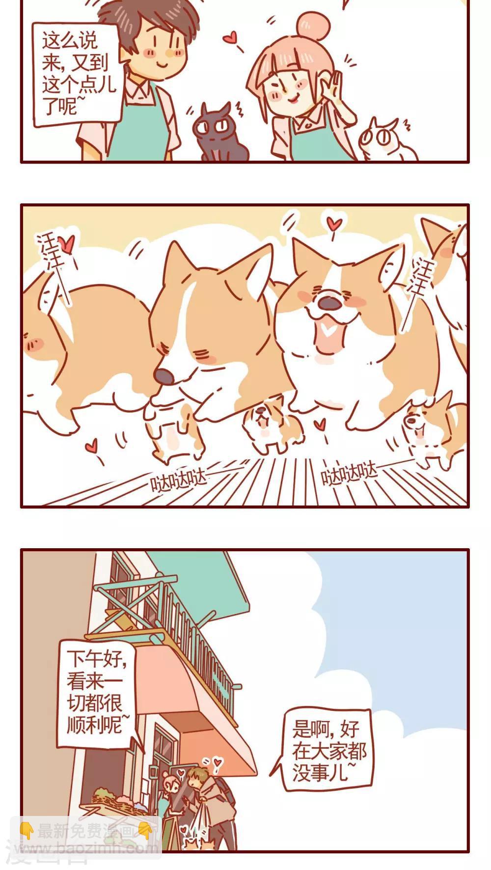 《猫咪甜品屋》第253话 第4页