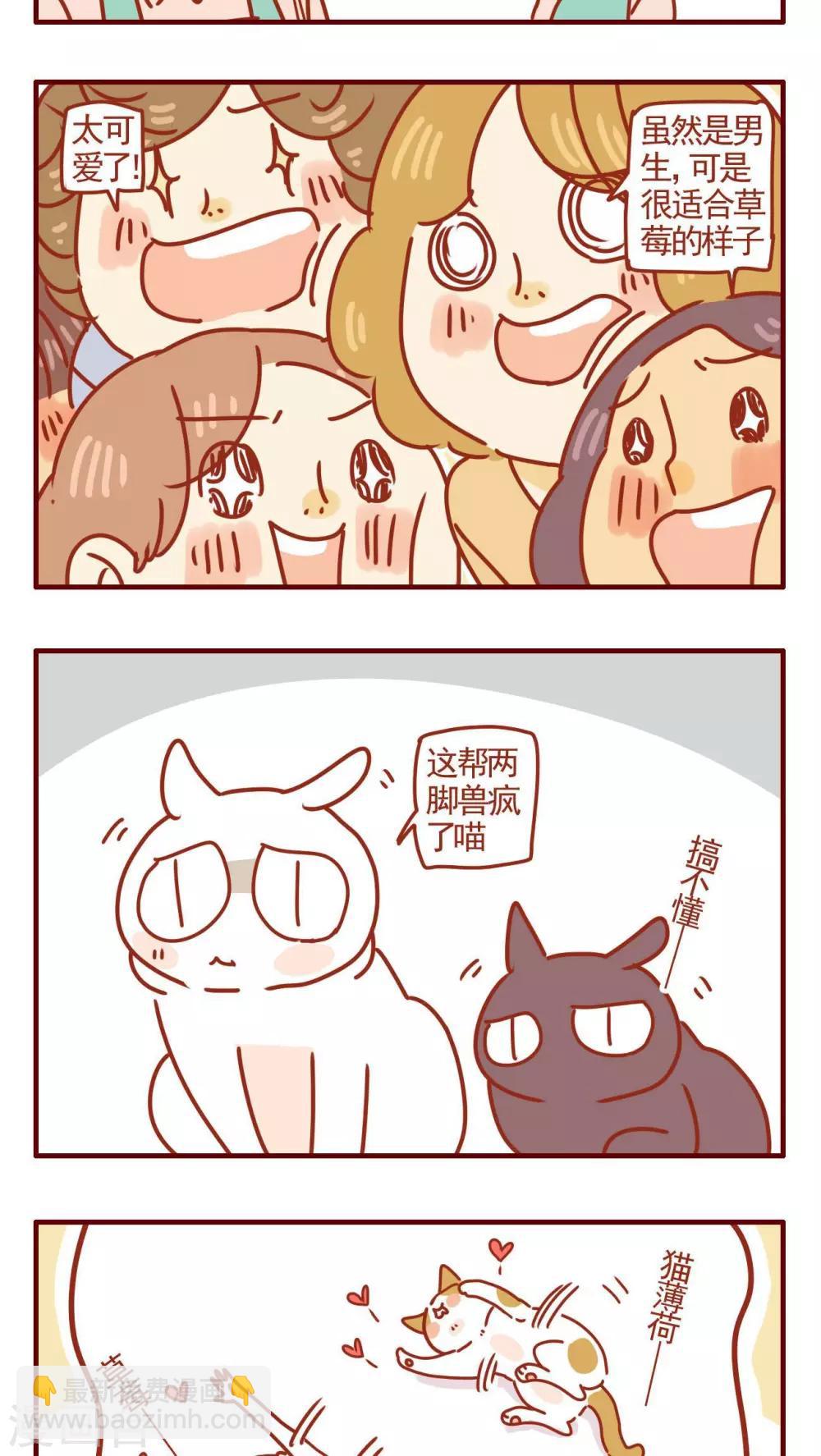 《猫咪甜品屋》第258话 第3页
