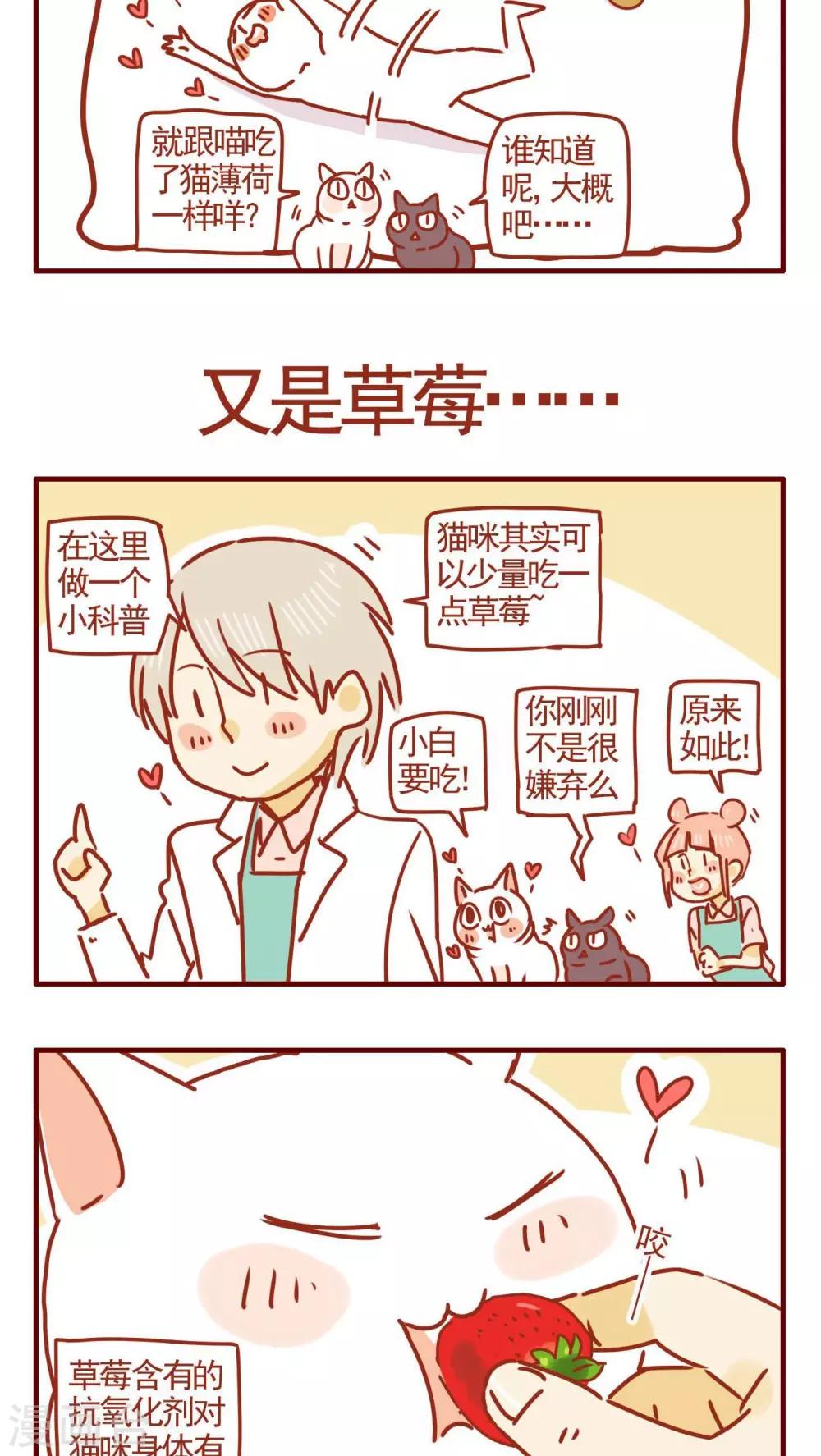 《猫咪甜品屋》第258话 第4页