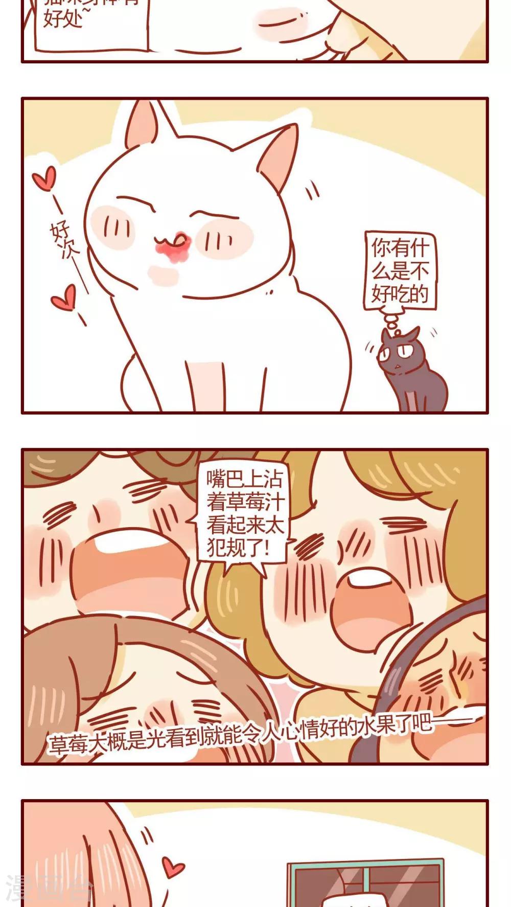 《猫咪甜品屋》第258话 第5页