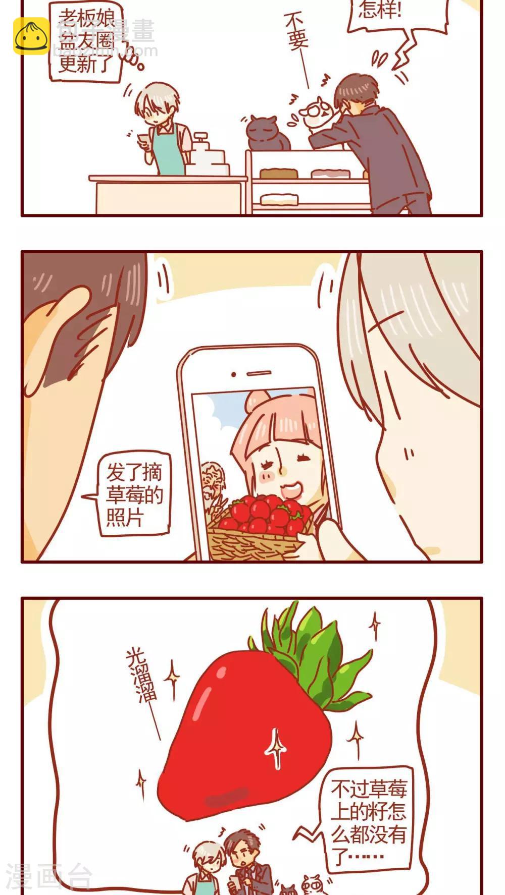 《猫咪甜品屋》第257话 第2页