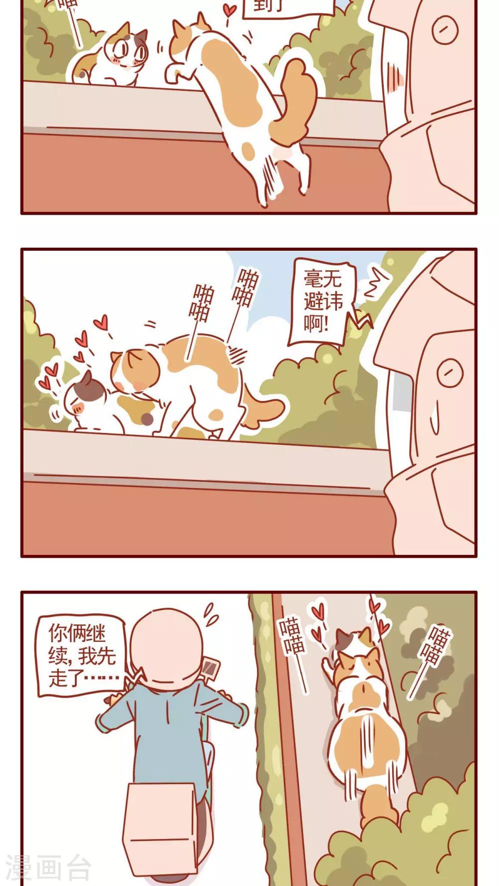 《猫咪甜品屋》第262话 第2页