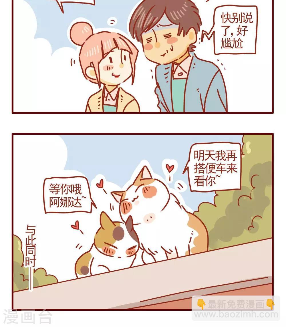 《猫咪甜品屋》第262话 第6页