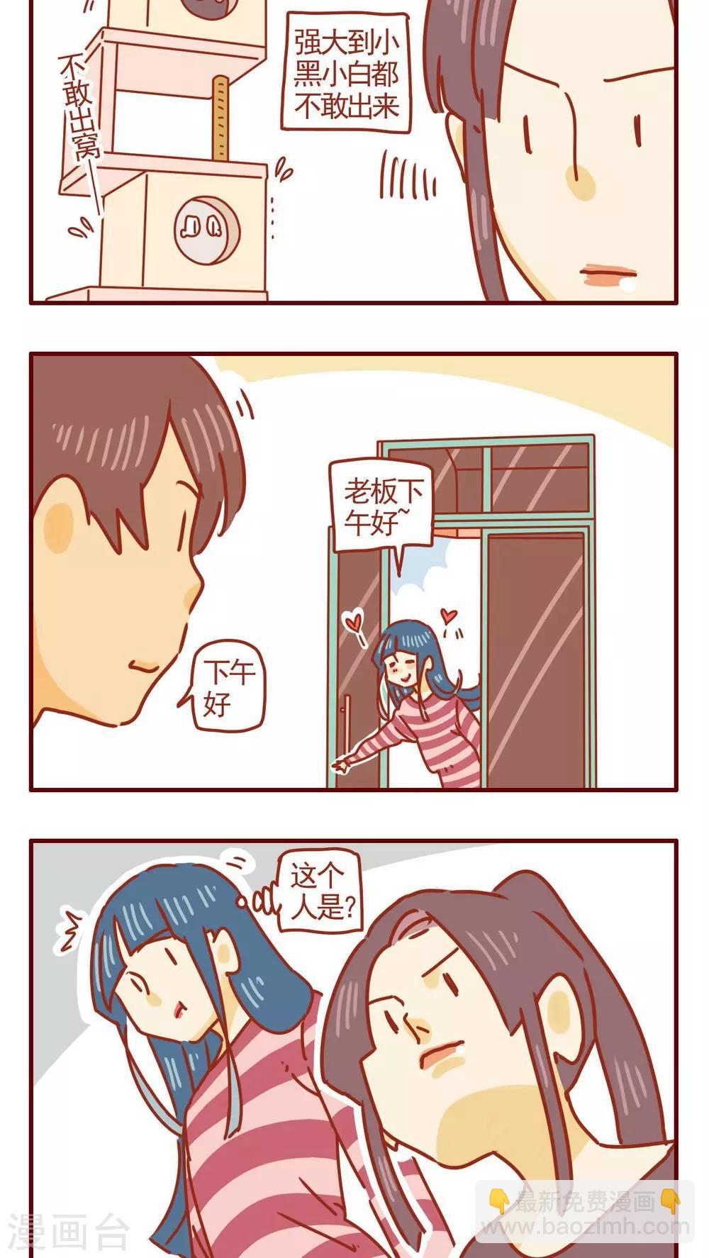 《猫咪甜品屋》第268话 第2页