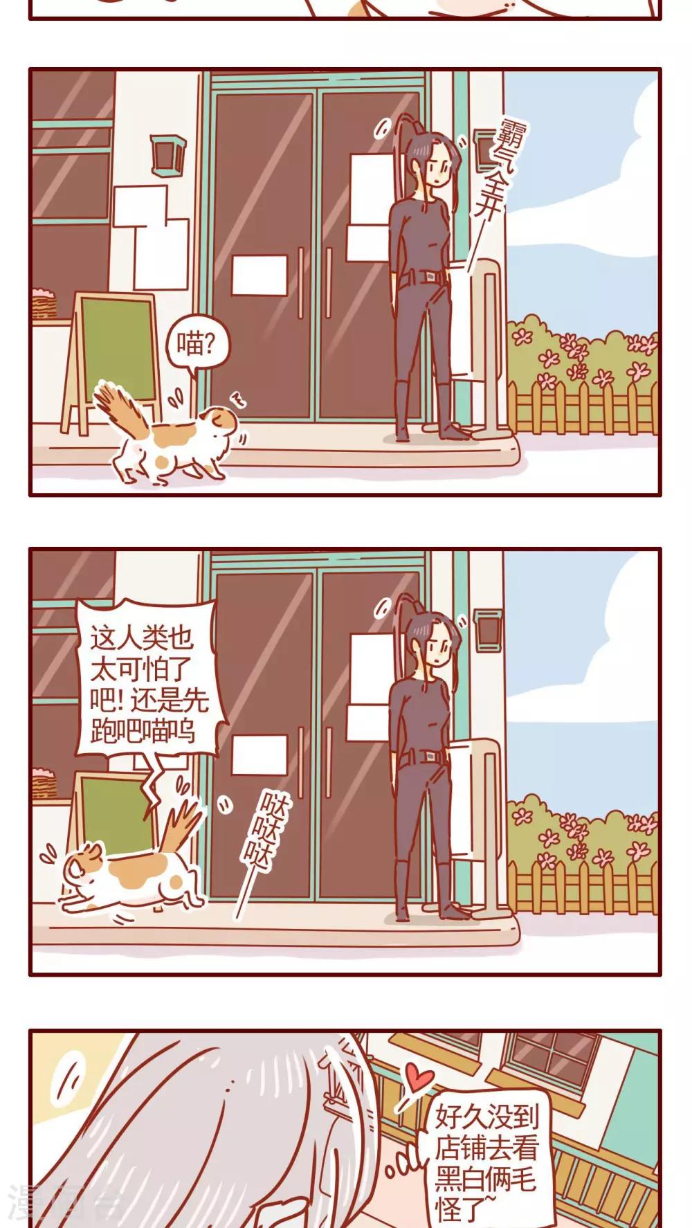 《猫咪甜品屋》第270话 第3页