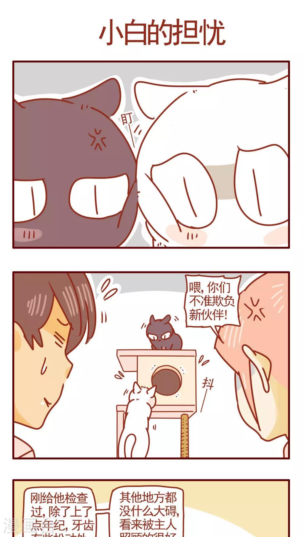 《猫咪甜品屋》第276话 第1页