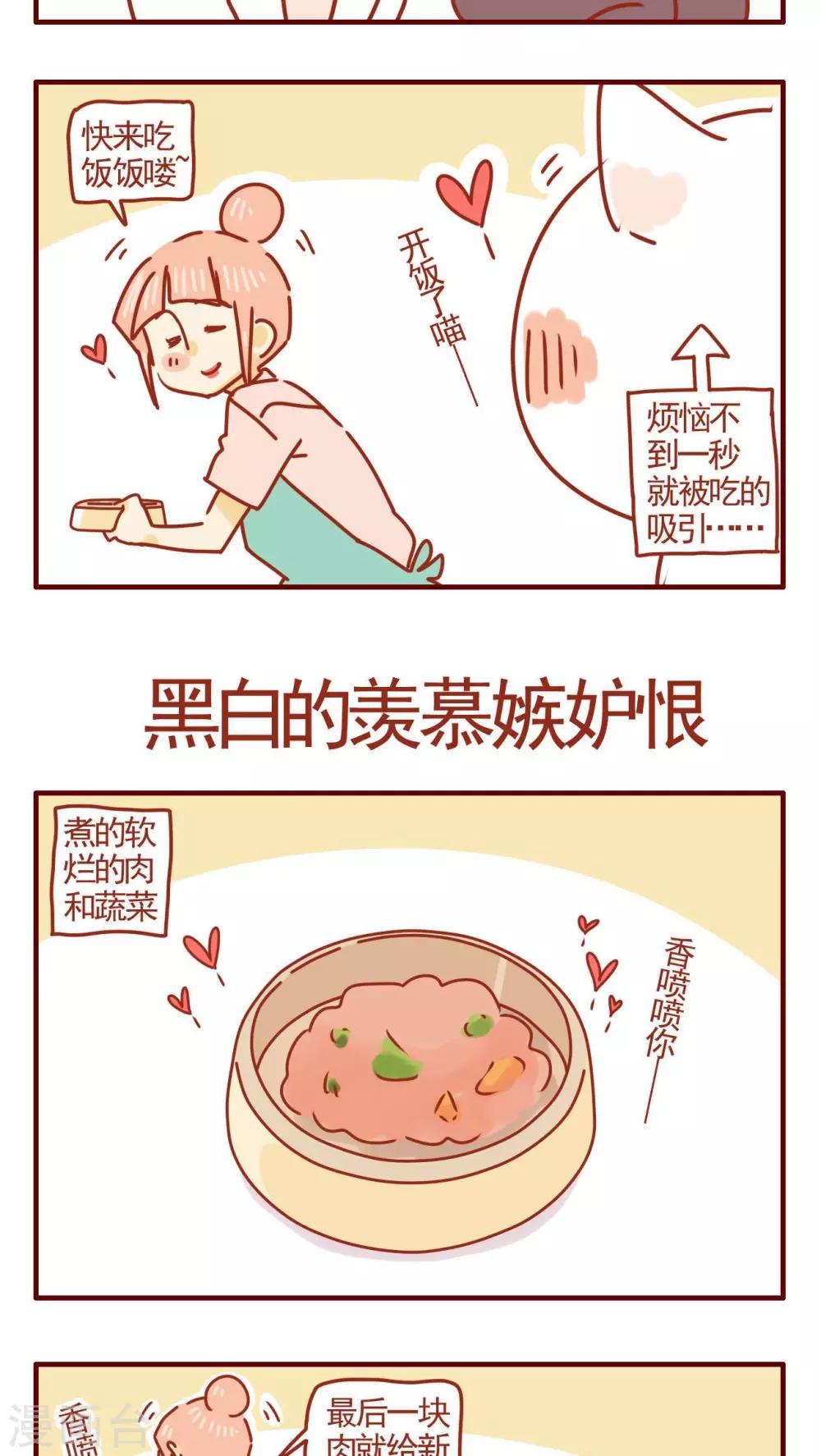 《猫咪甜品屋》第276话 第3页