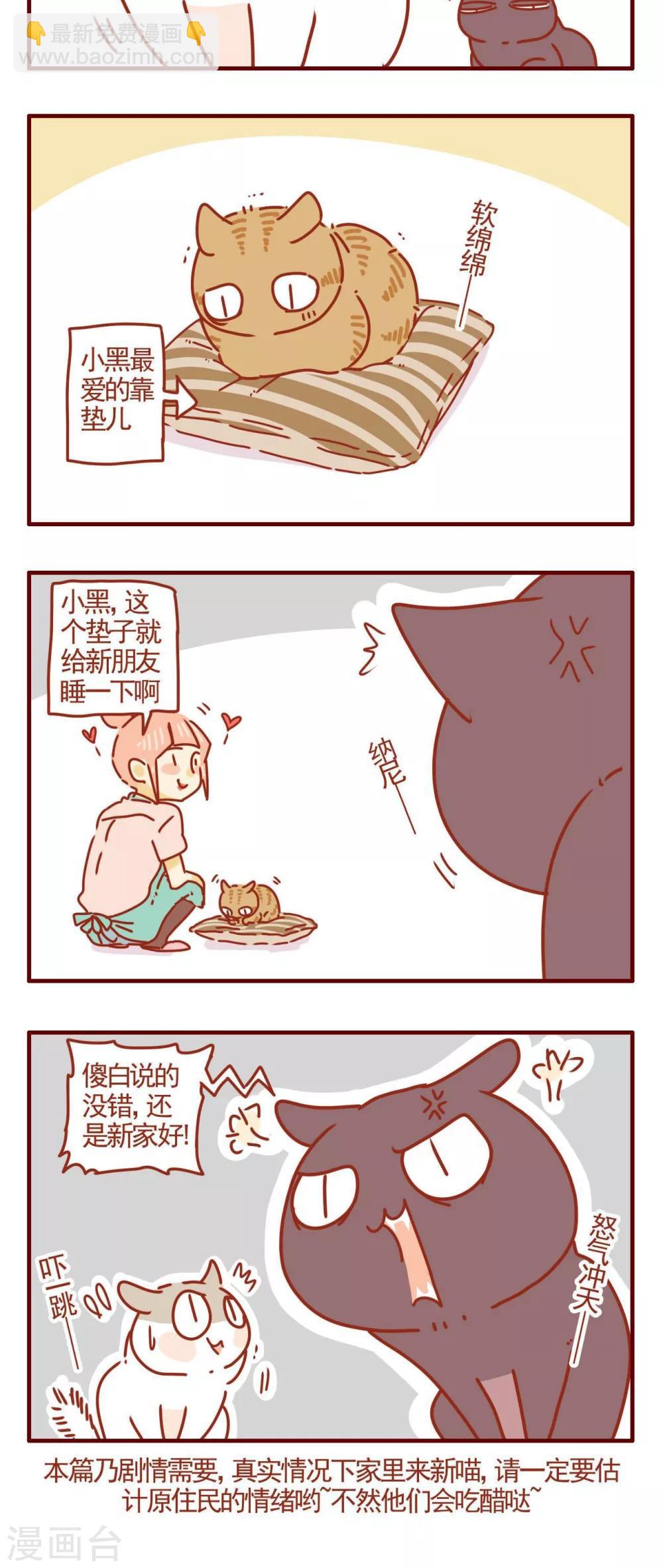 《猫咪甜品屋》第276话 第5页