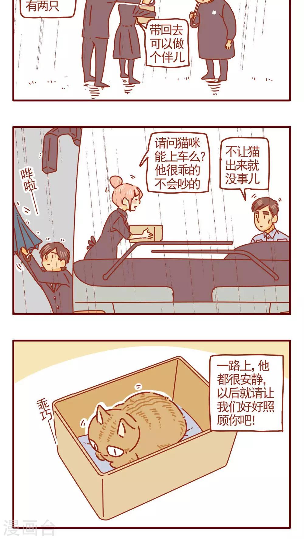 《猫咪甜品屋》第275话 第4页