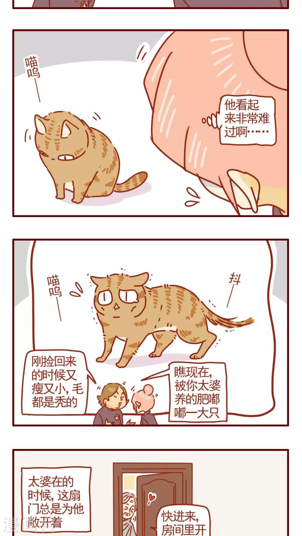《猫咪甜品屋》第274话 第3页
