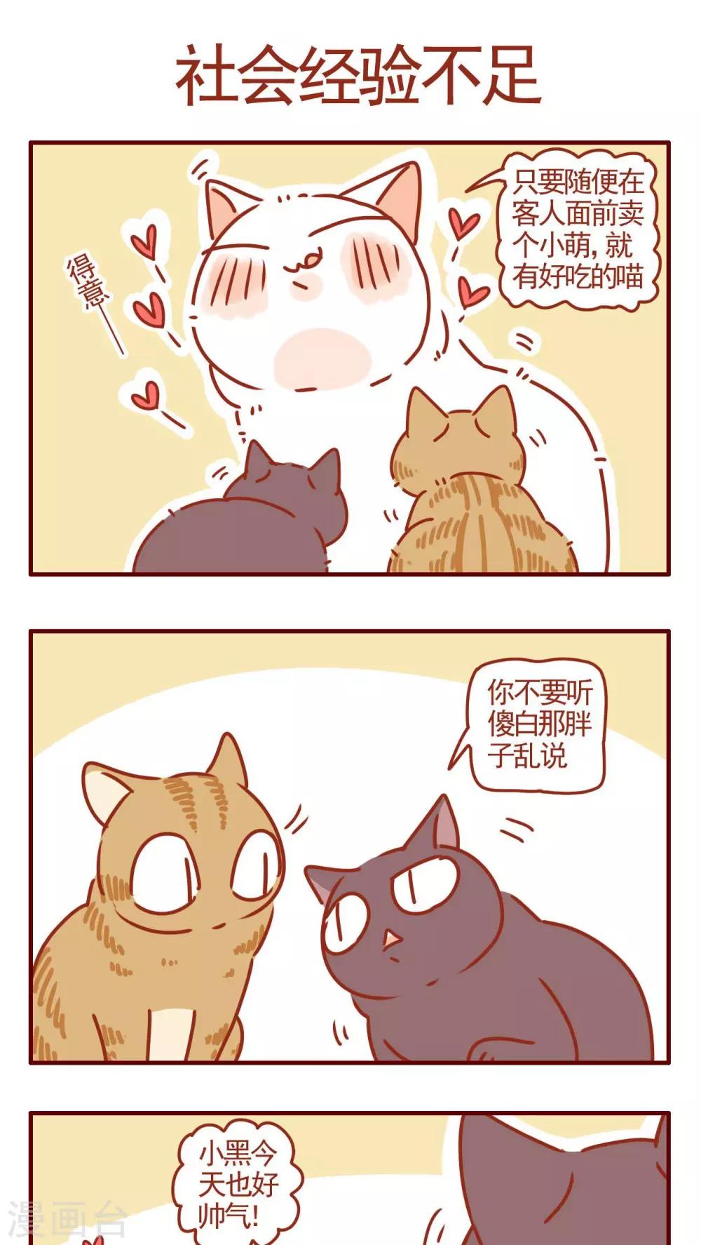 《猫咪甜品屋》第280话 第1页