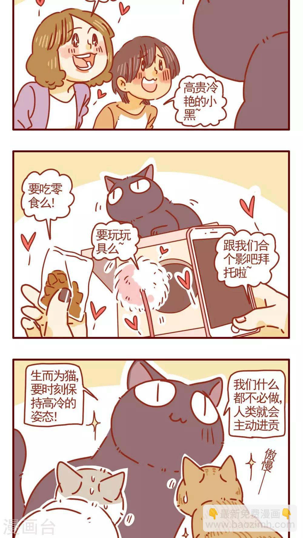 《猫咪甜品屋》第280话 第2页