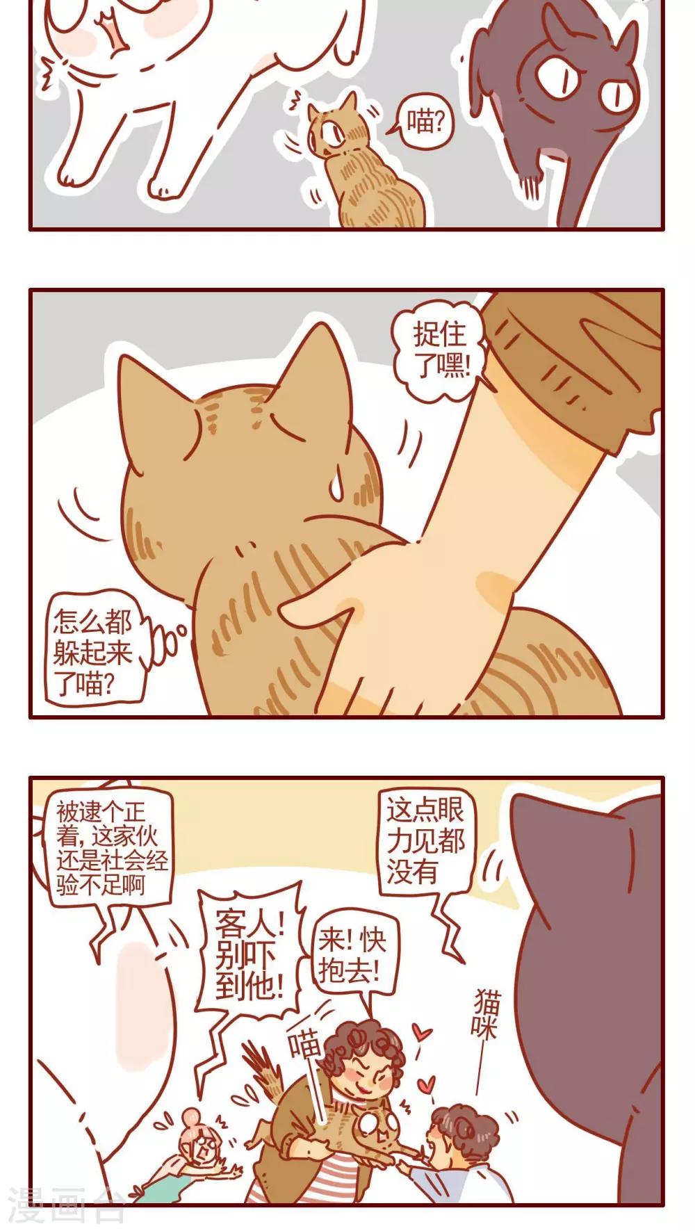 《猫咪甜品屋》第280话 第4页