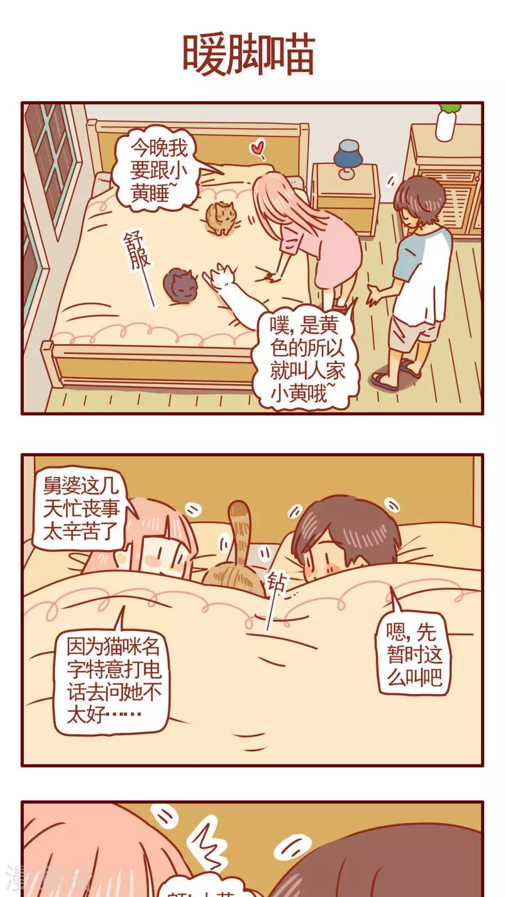 《猫咪甜品屋》第277话 第1页