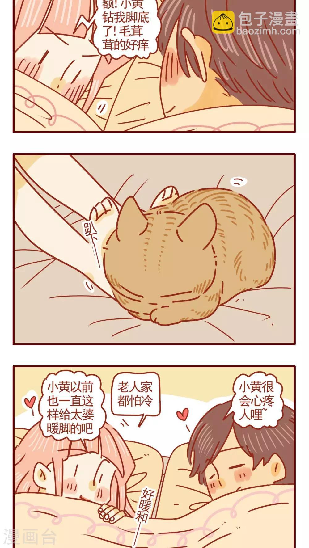 《猫咪甜品屋》第277话 第2页