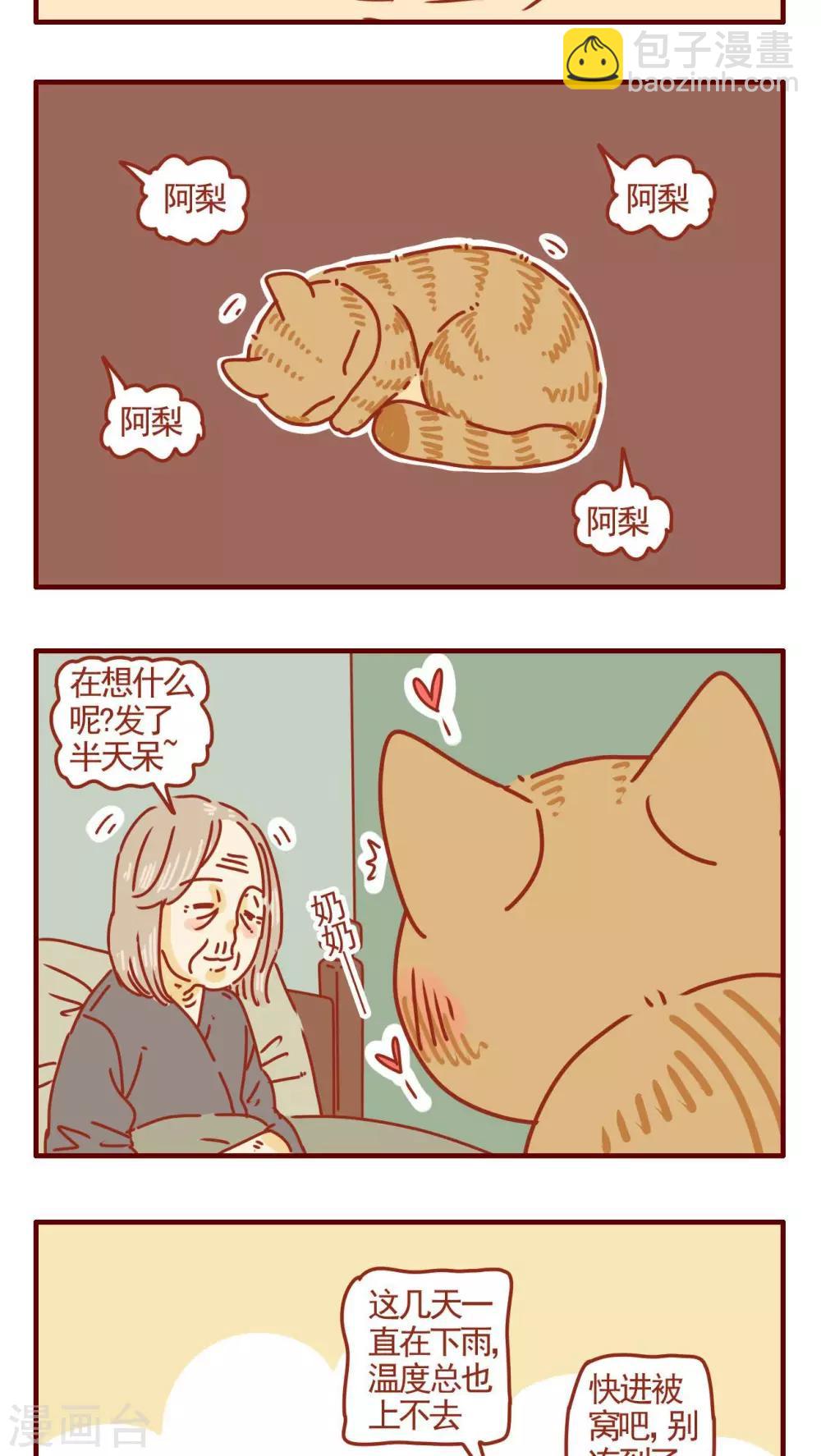 《猫咪甜品屋》第277话 第3页