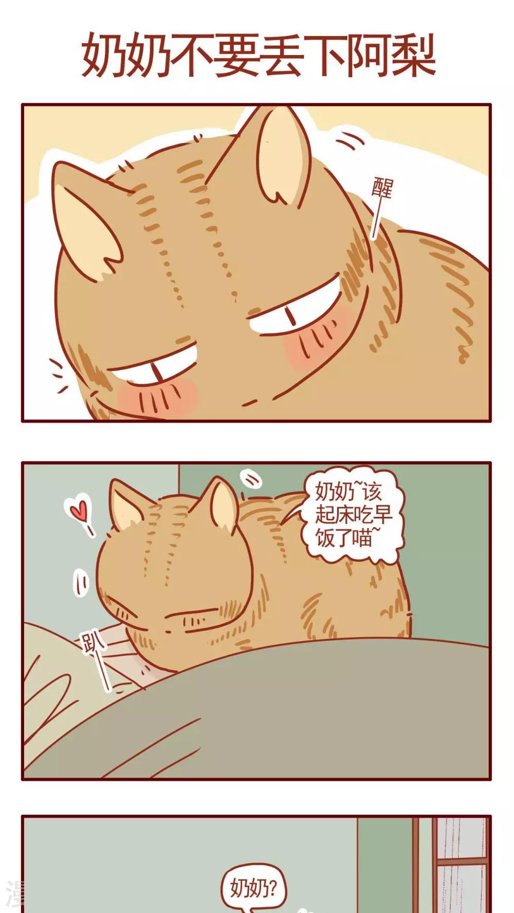 《猫咪甜品屋》第278话 第1页