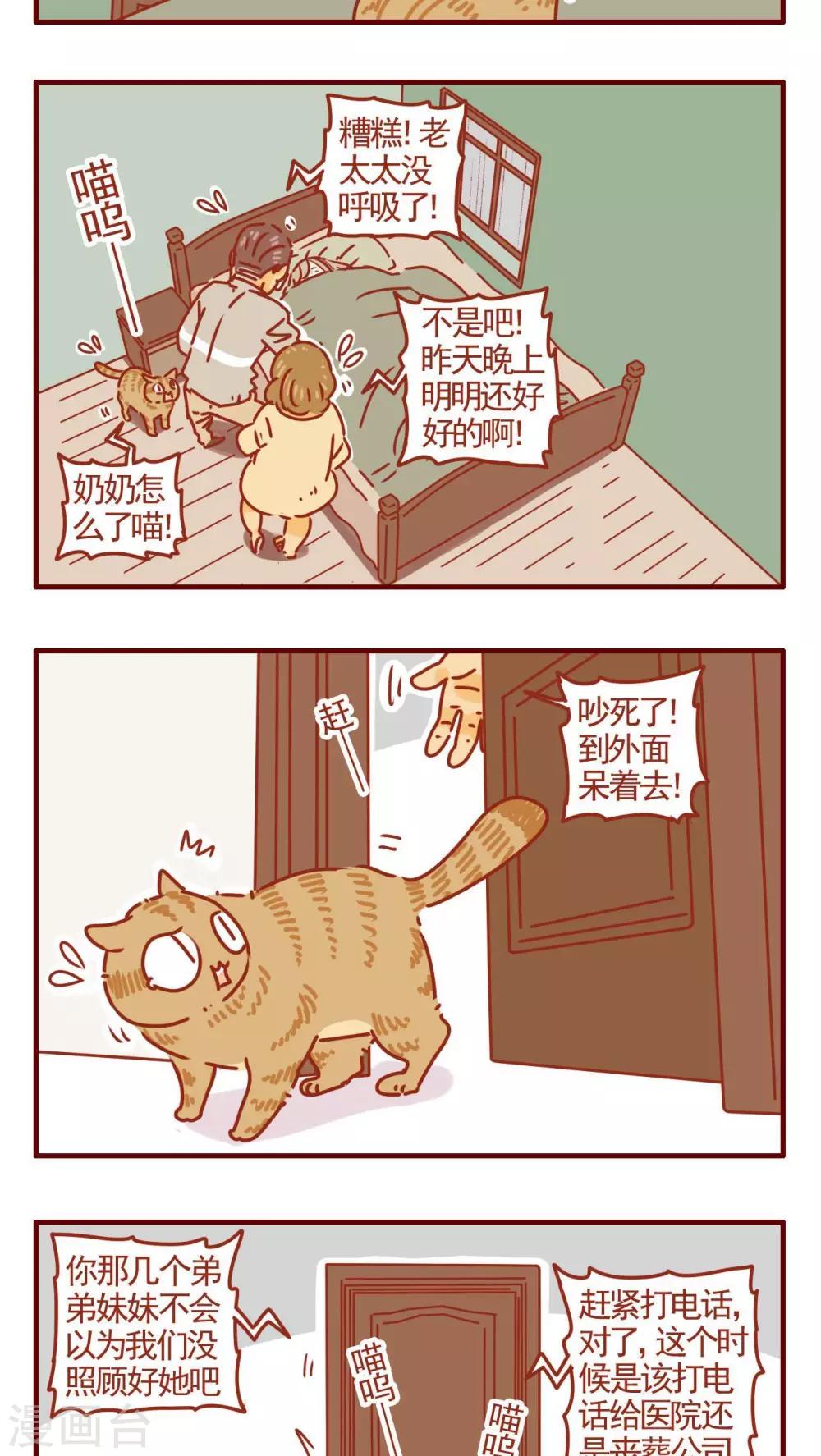 《猫咪甜品屋》第278话 第3页
