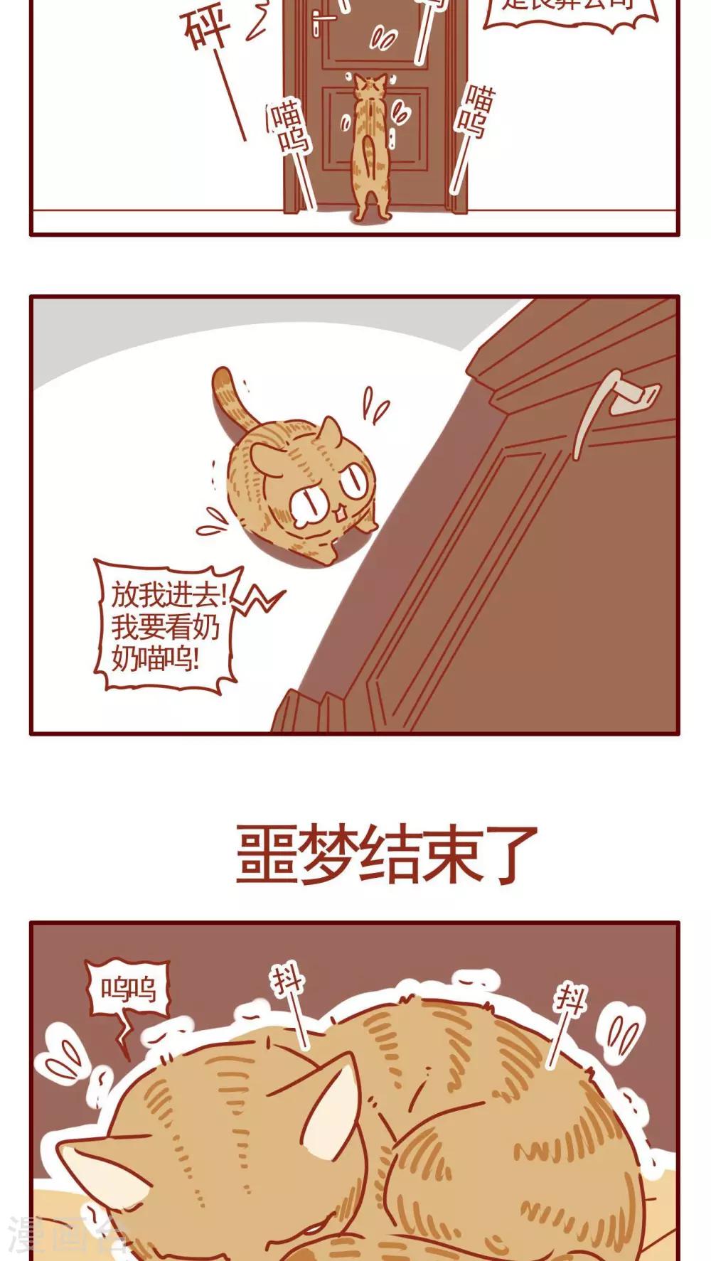 《猫咪甜品屋》第278话 第4页