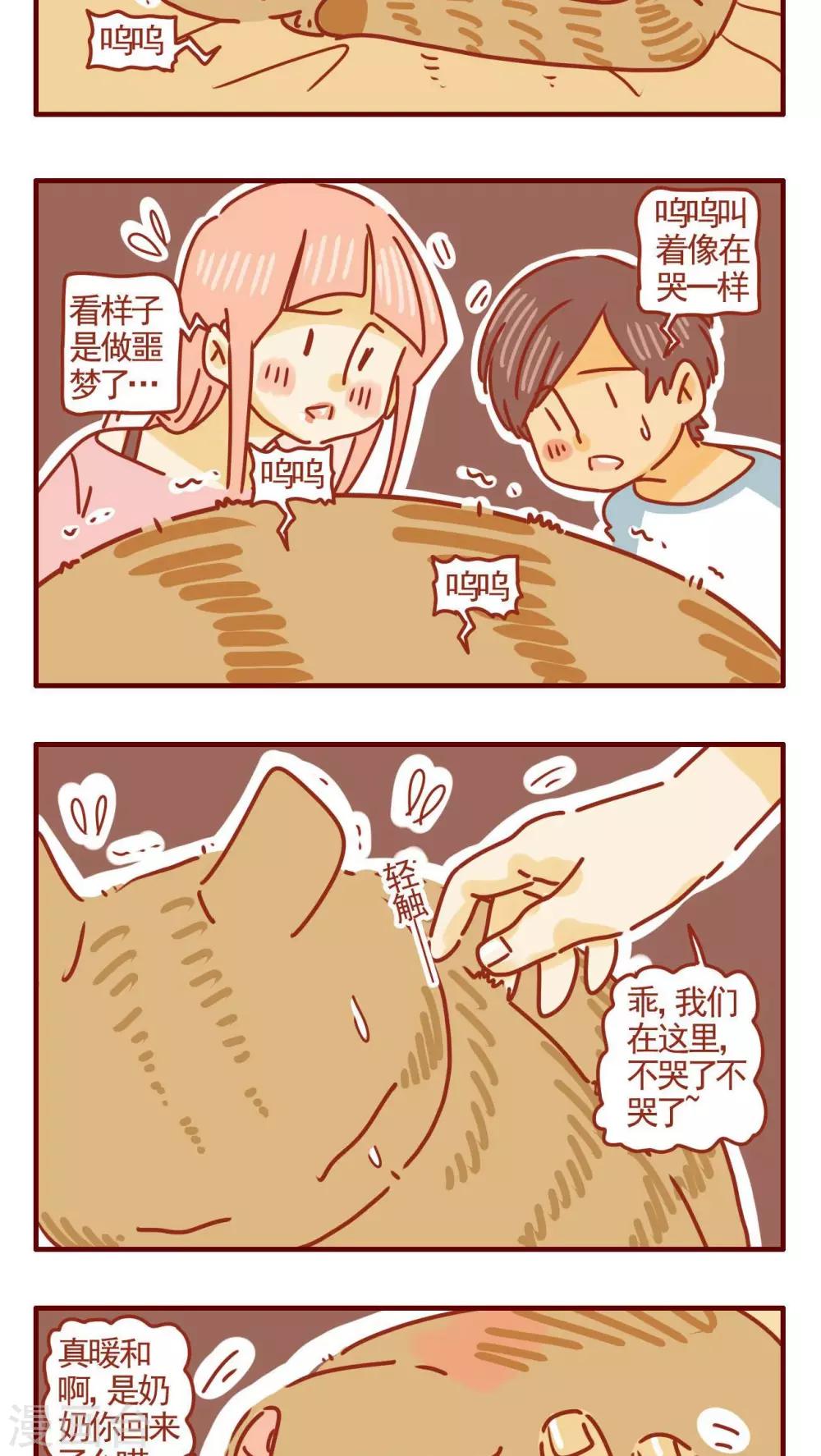 《猫咪甜品屋》第278话 第5页