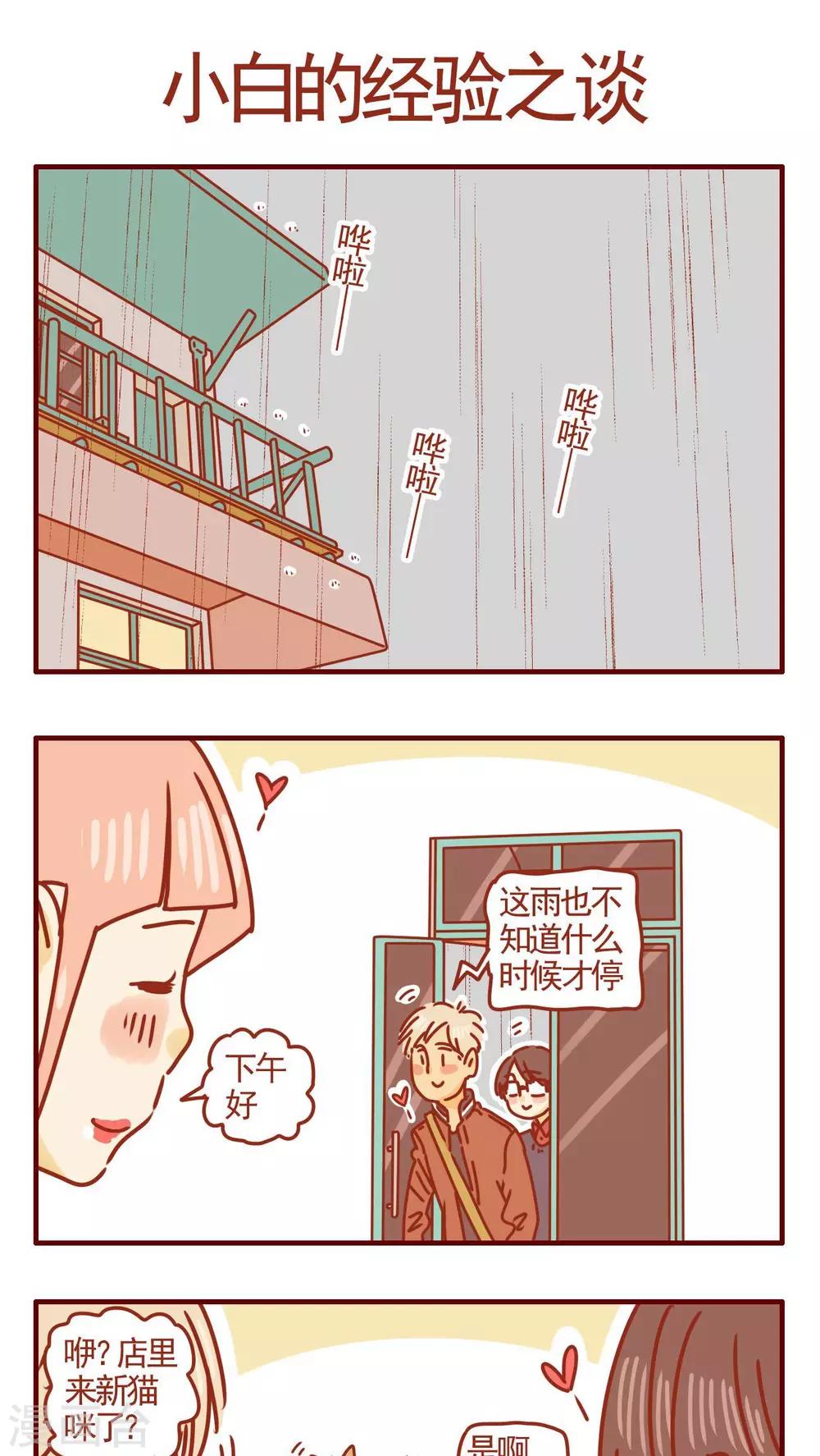 《猫咪甜品屋》第279话 第1页