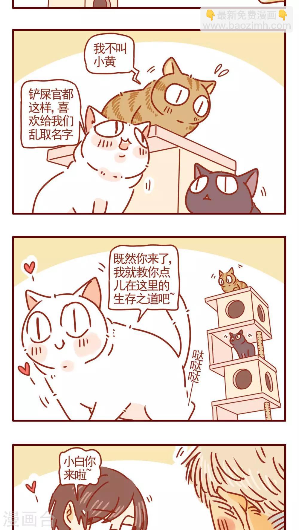 《猫咪甜品屋》第279话 第3页
