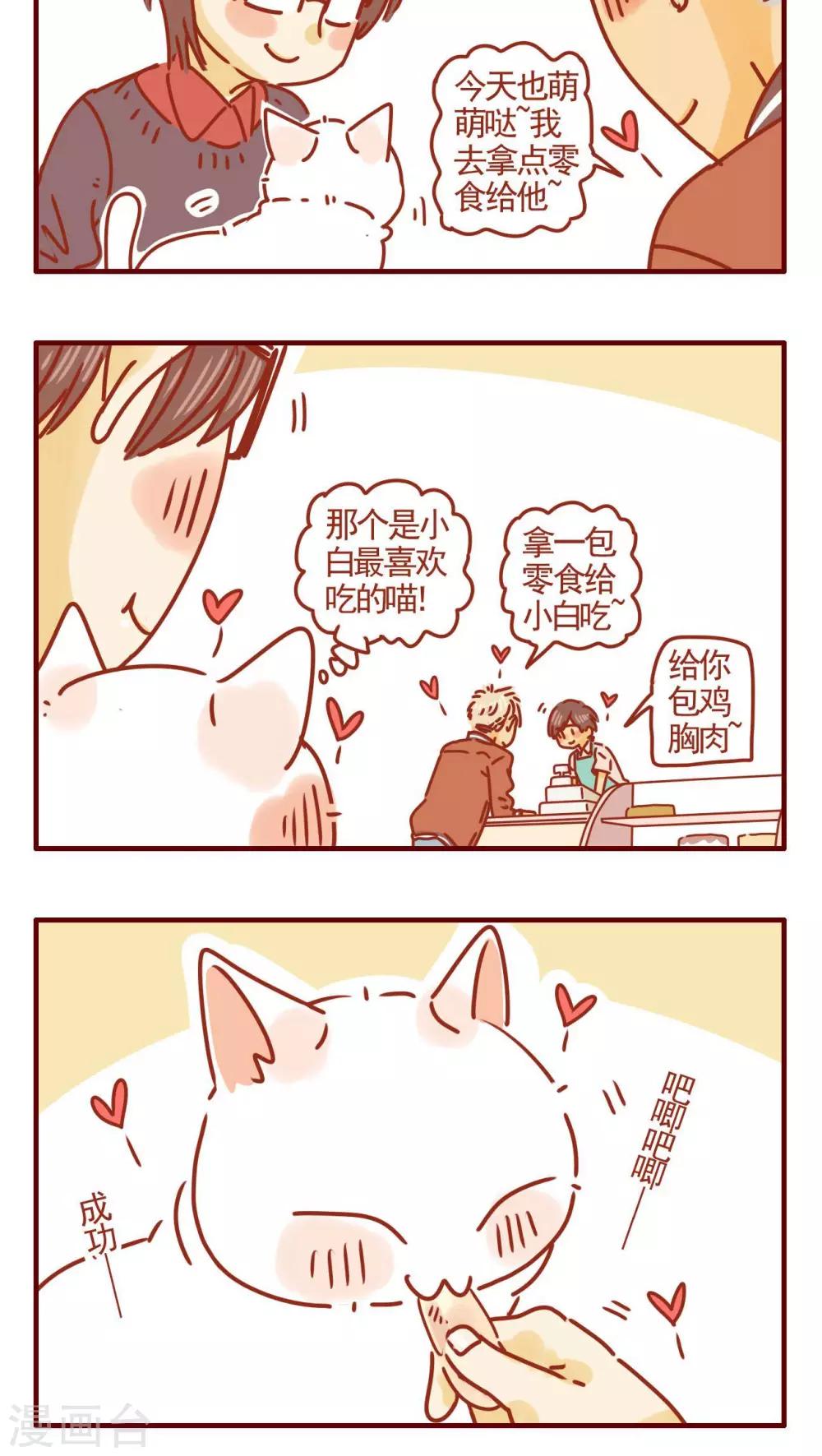 《猫咪甜品屋》第279话 第4页