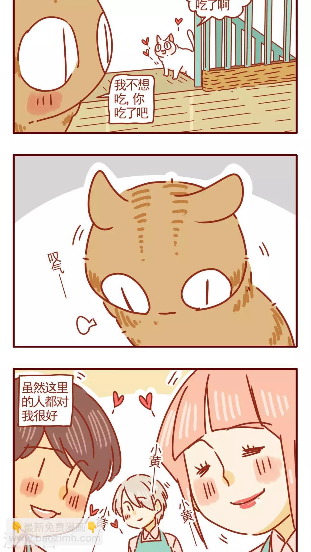 《猫咪甜品屋》第281话 第2页