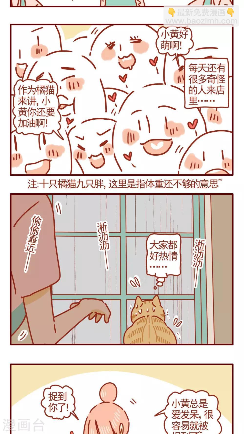《猫咪甜品屋》第281话 第3页