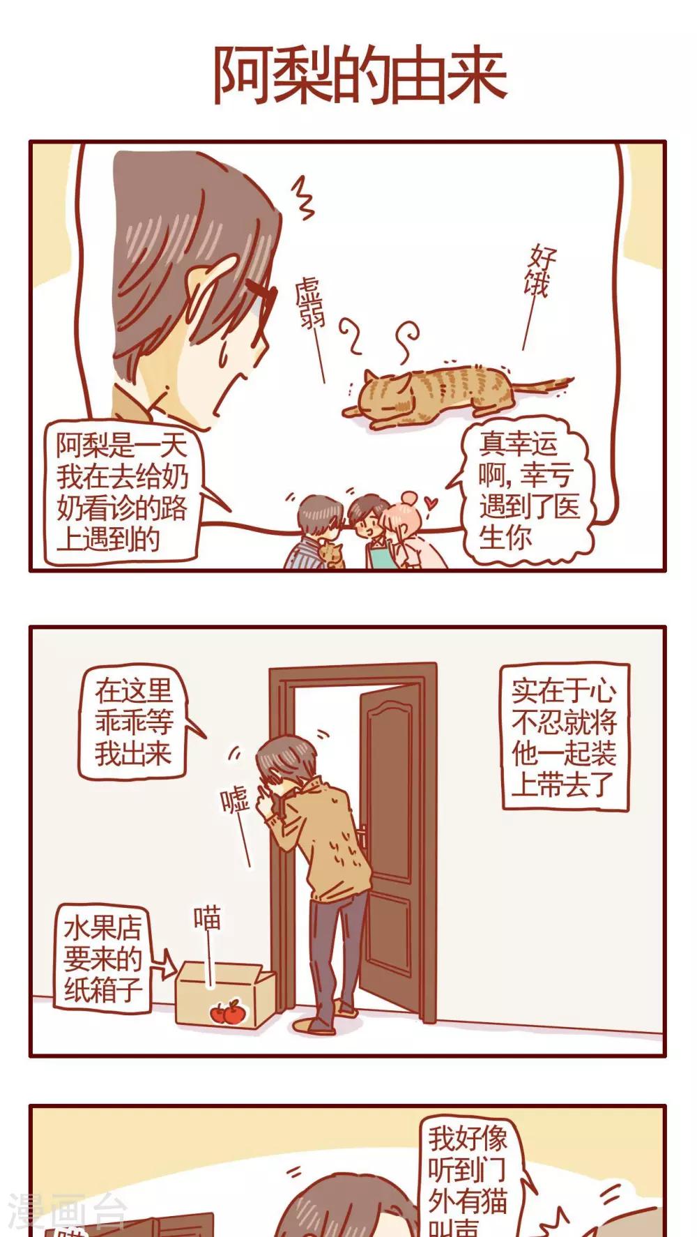 《猫咪甜品屋》第283话 第1页
