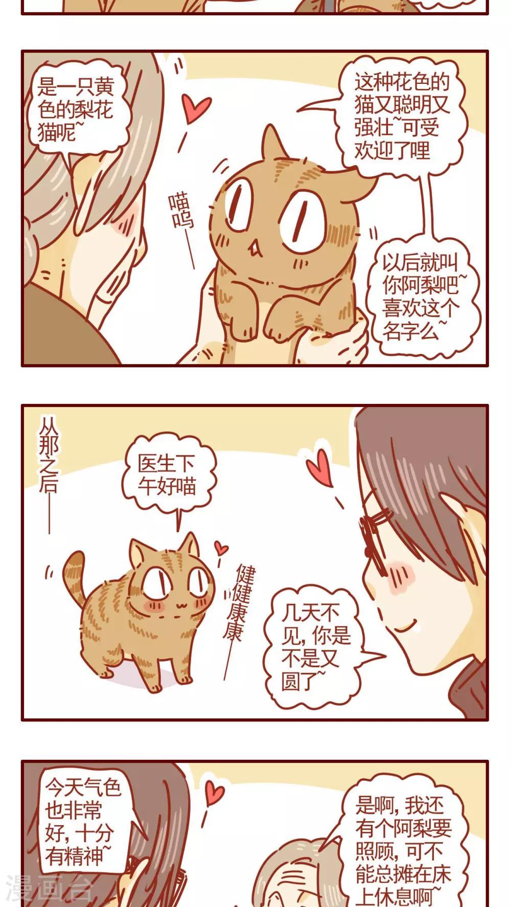 《猫咪甜品屋》第283话 第3页