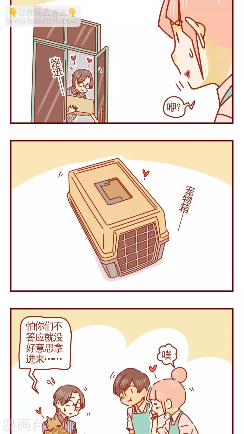 《猫咪甜品屋》第284话 第4页