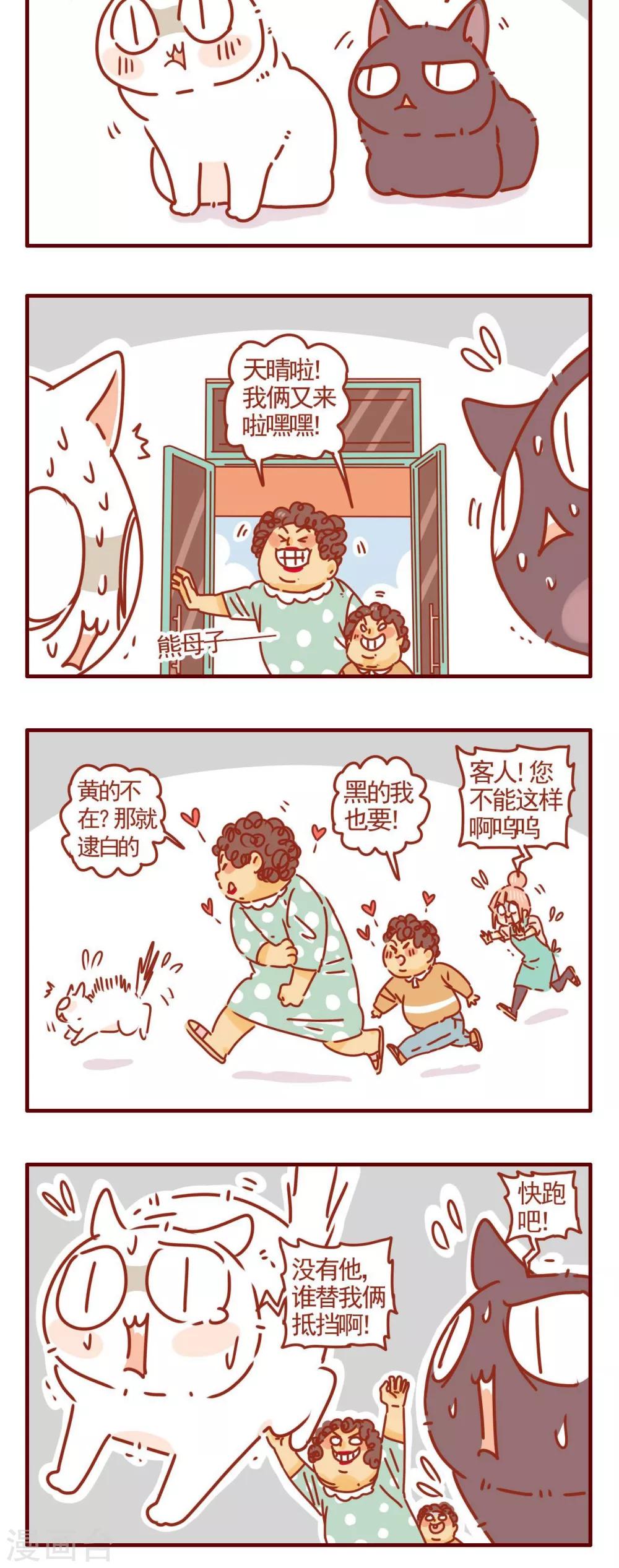 《猫咪甜品屋》第284话 第6页