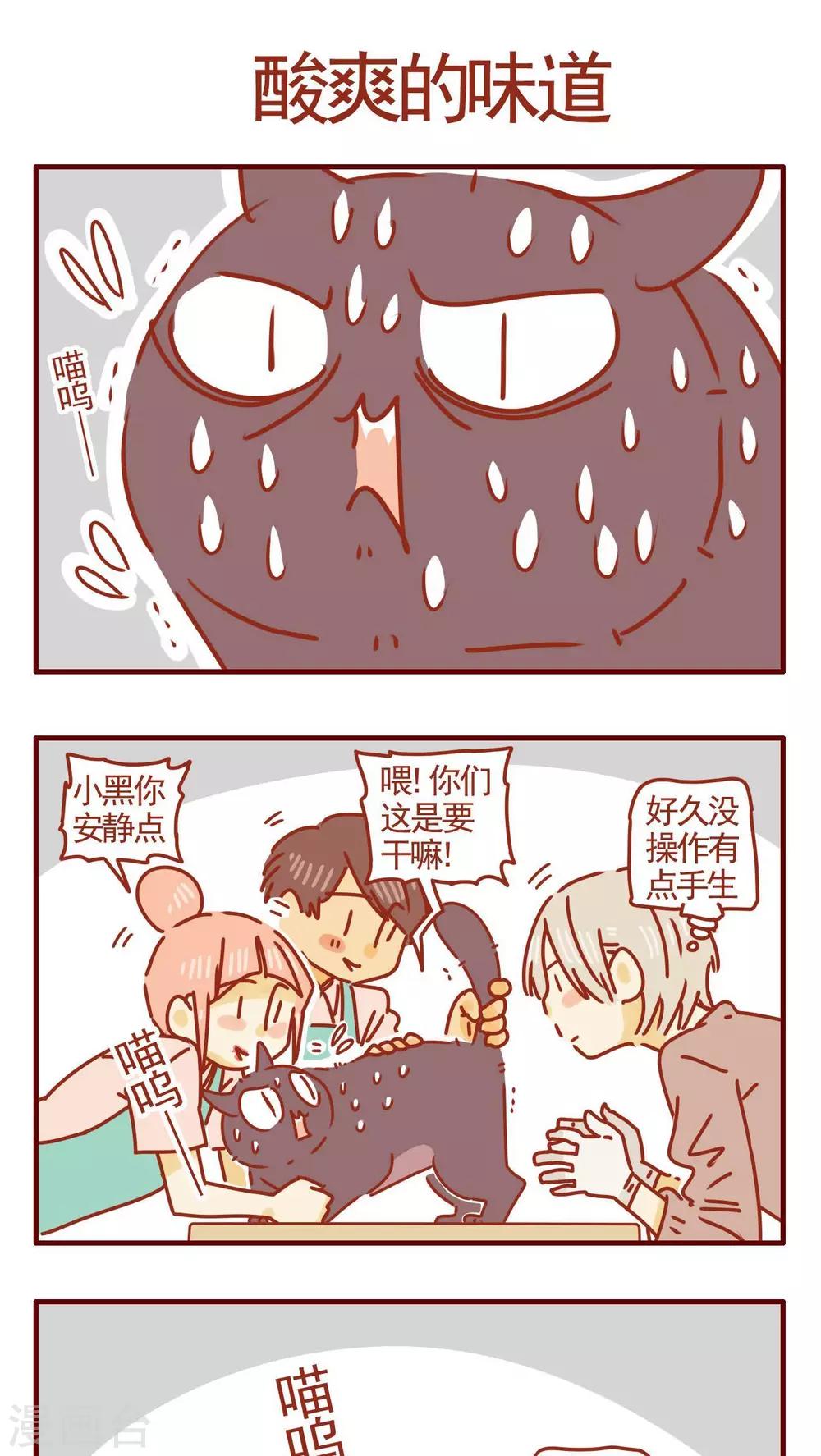 《猫咪甜品屋》第286话 第1页