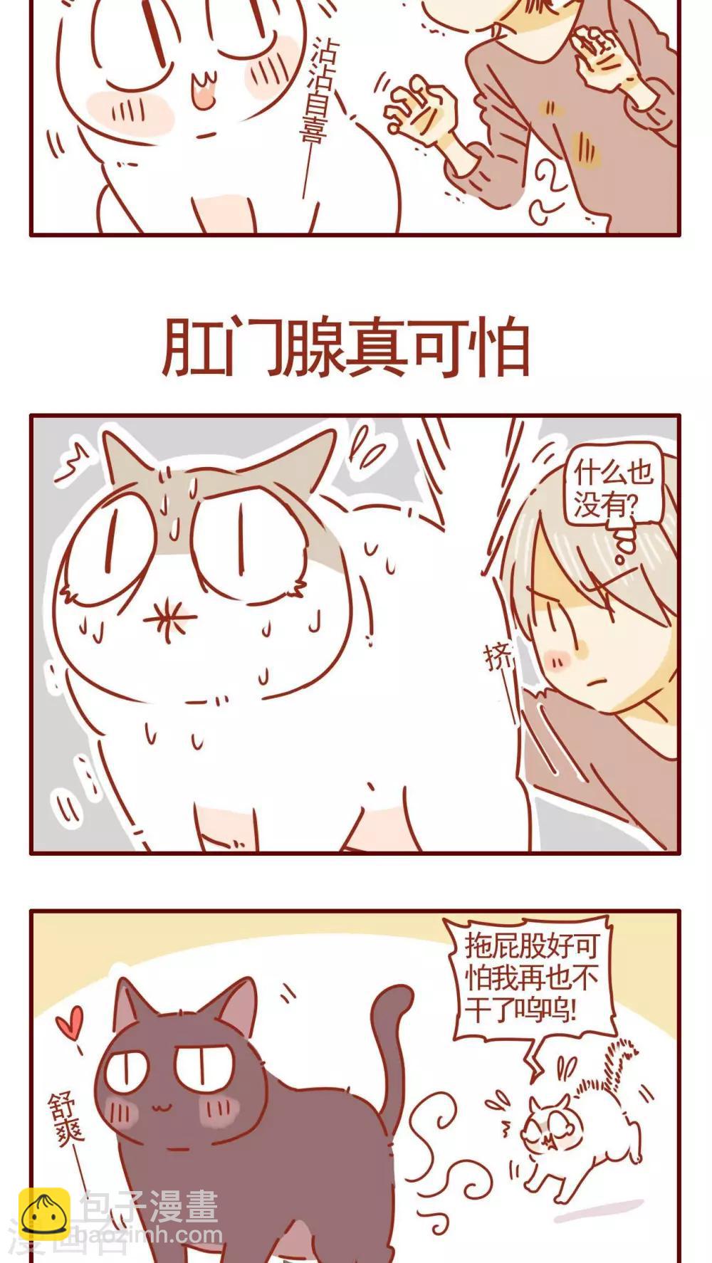 《猫咪甜品屋》第286话 第4页