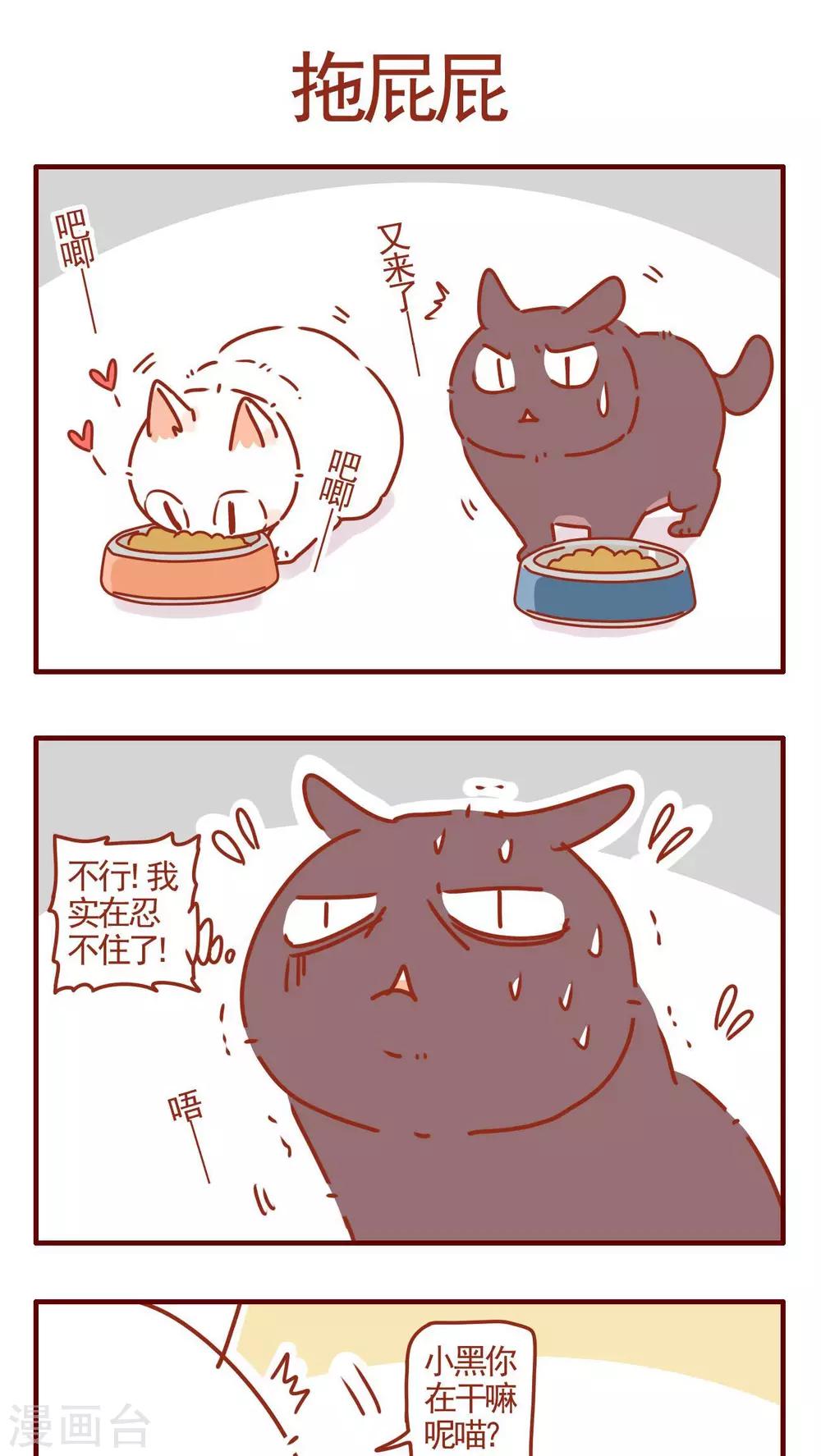 《猫咪甜品屋》第285话 第1页