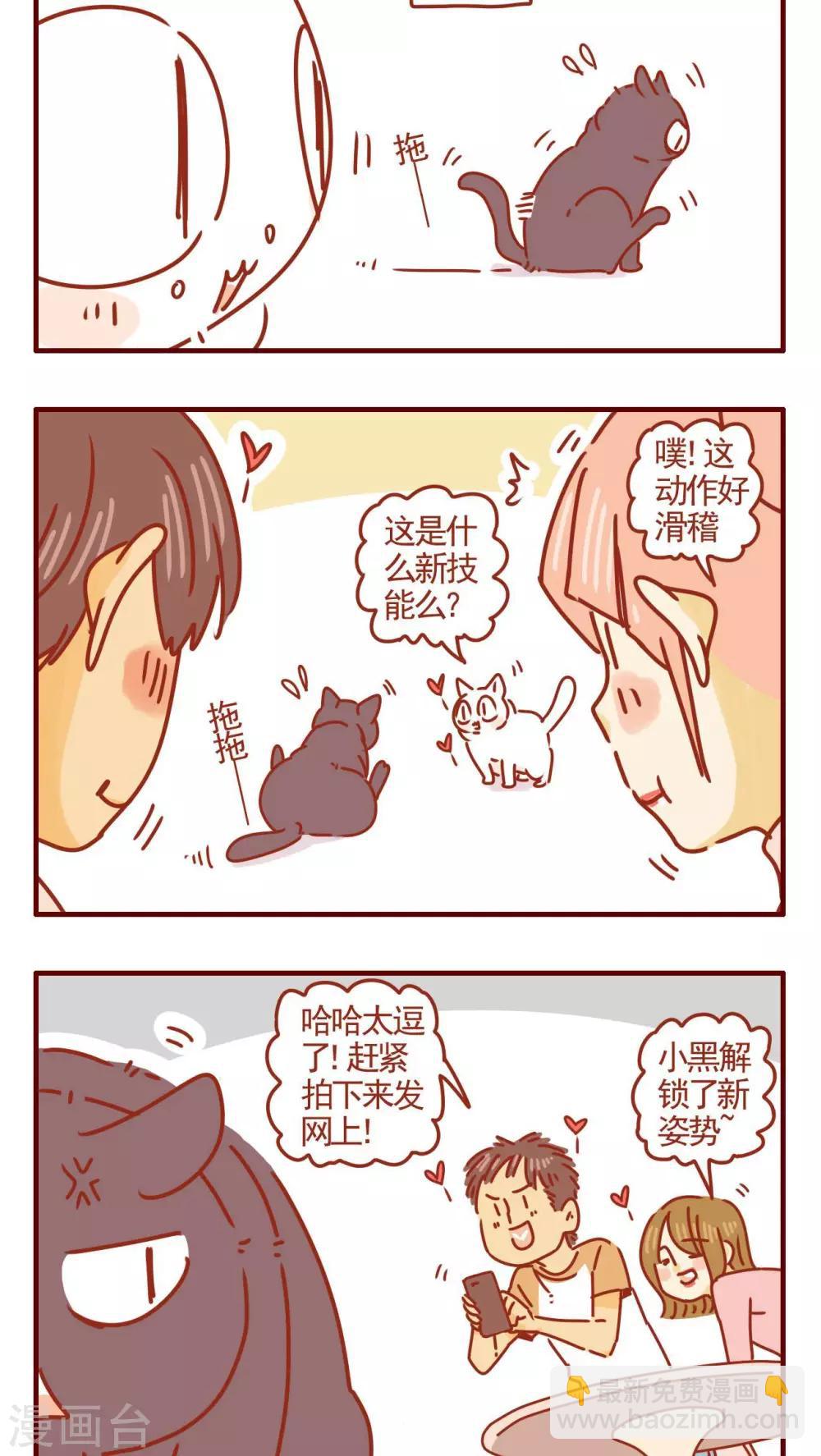 《猫咪甜品屋》第285话 第2页