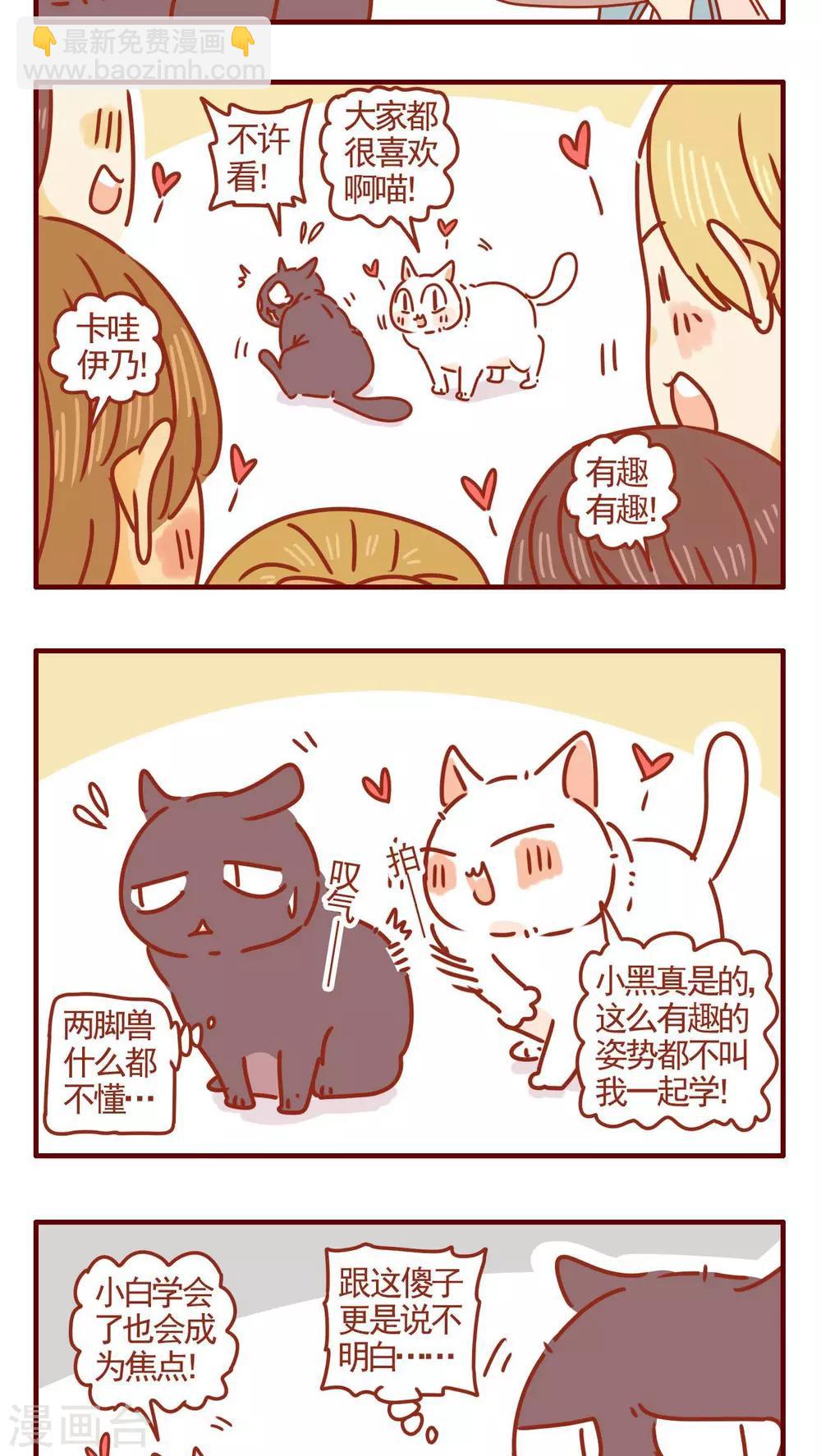 《猫咪甜品屋》第285话 第3页