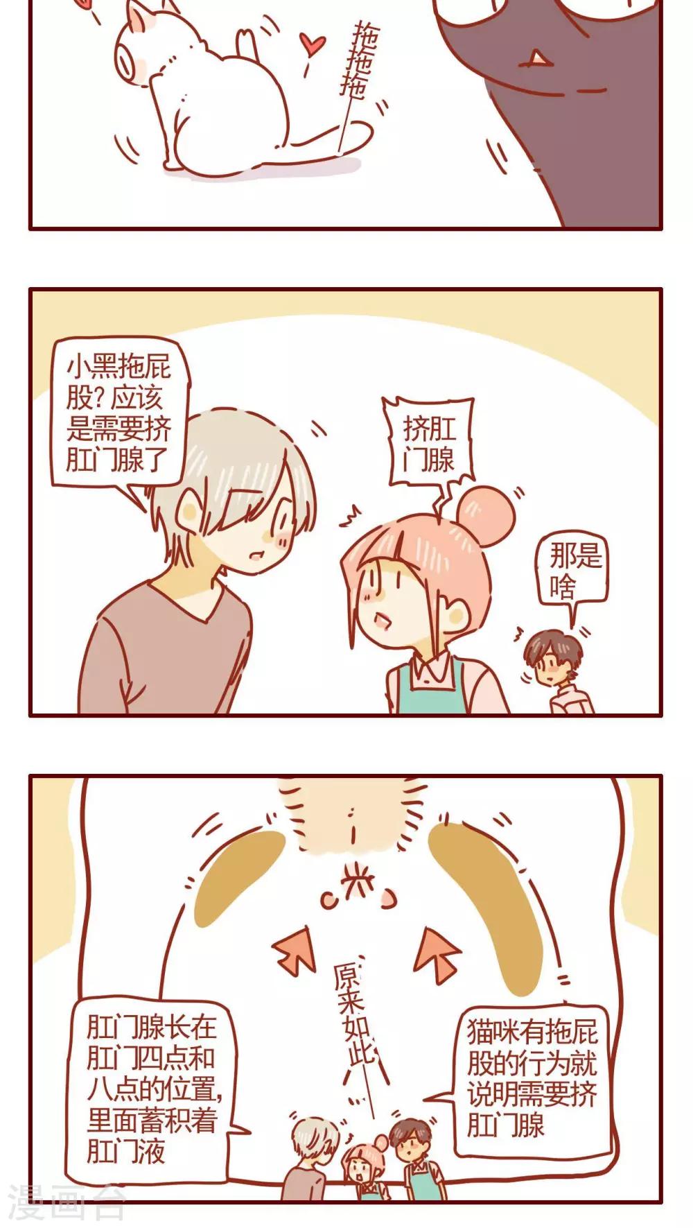 《猫咪甜品屋》第285话 第4页