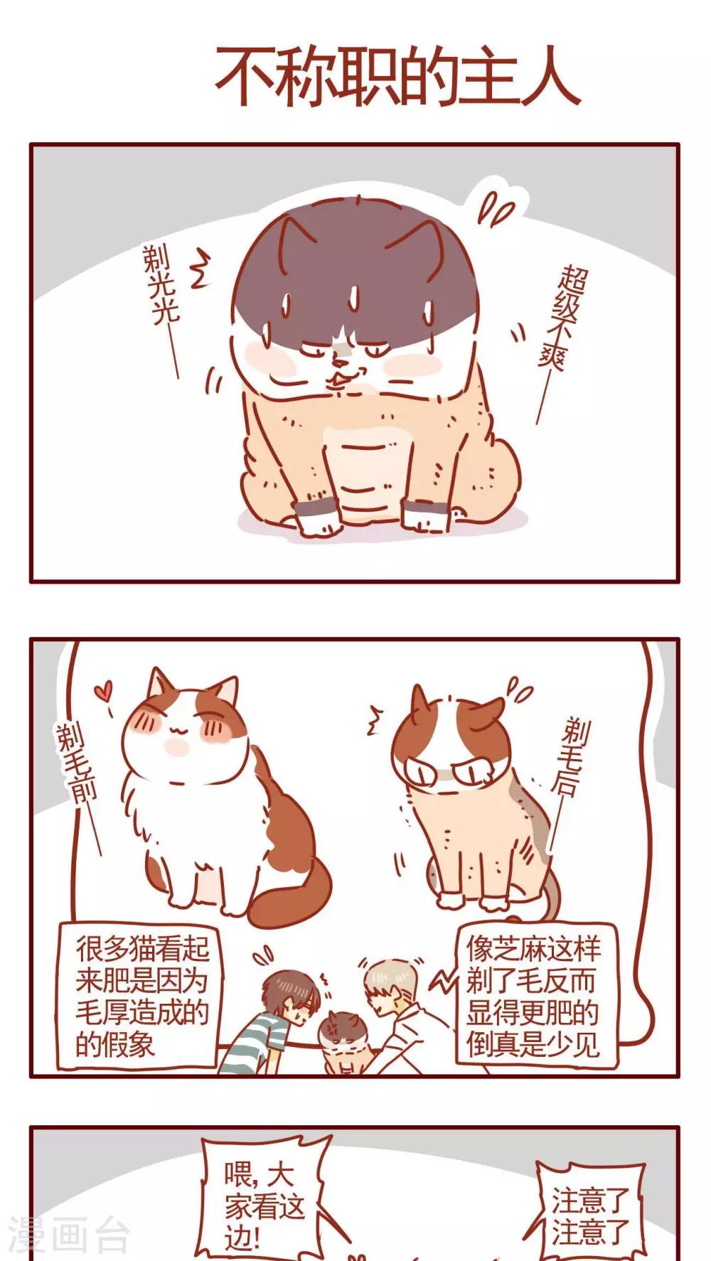 《猫咪甜品屋》第290话 第1页