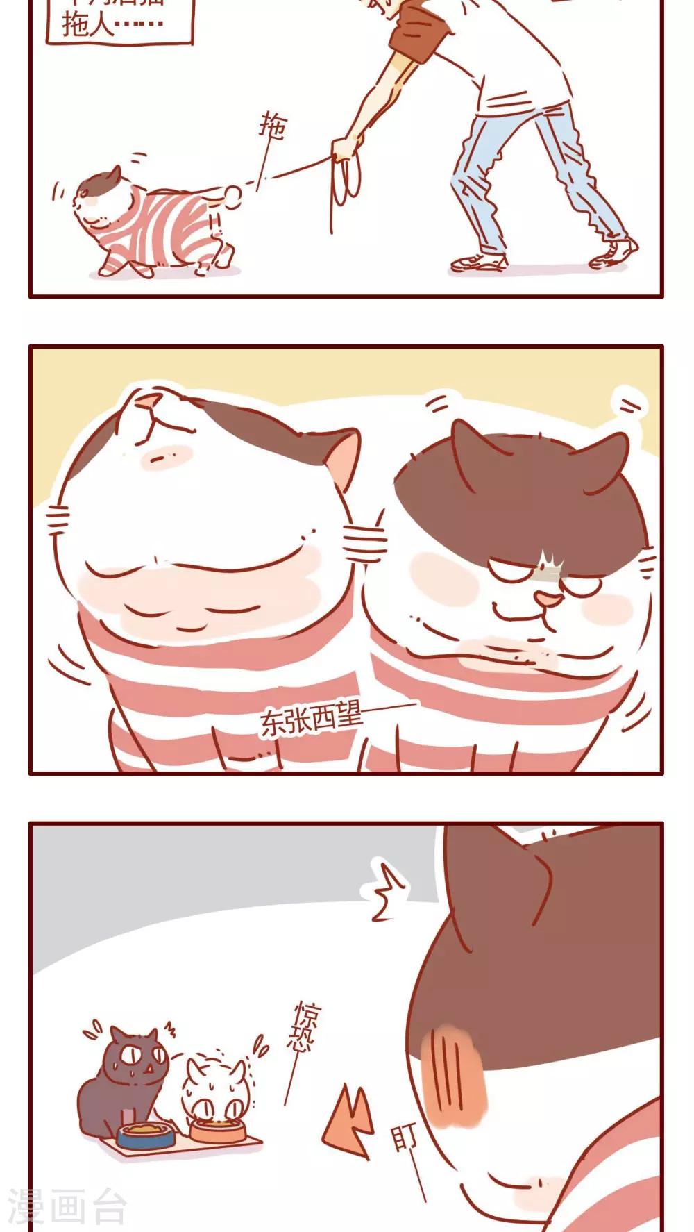 《猫咪甜品屋》第291话 第2页