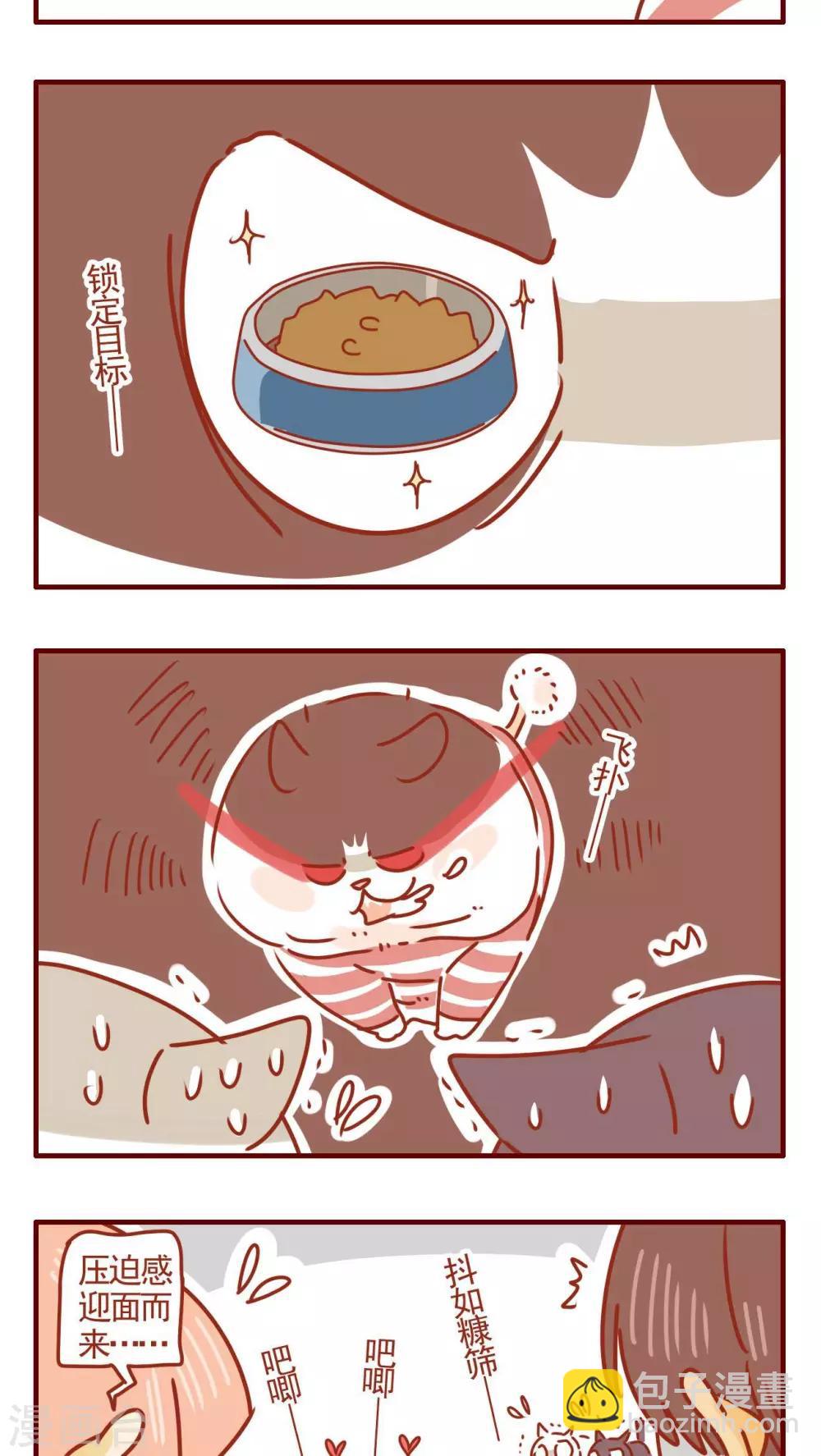 《猫咪甜品屋》第291话 第3页
