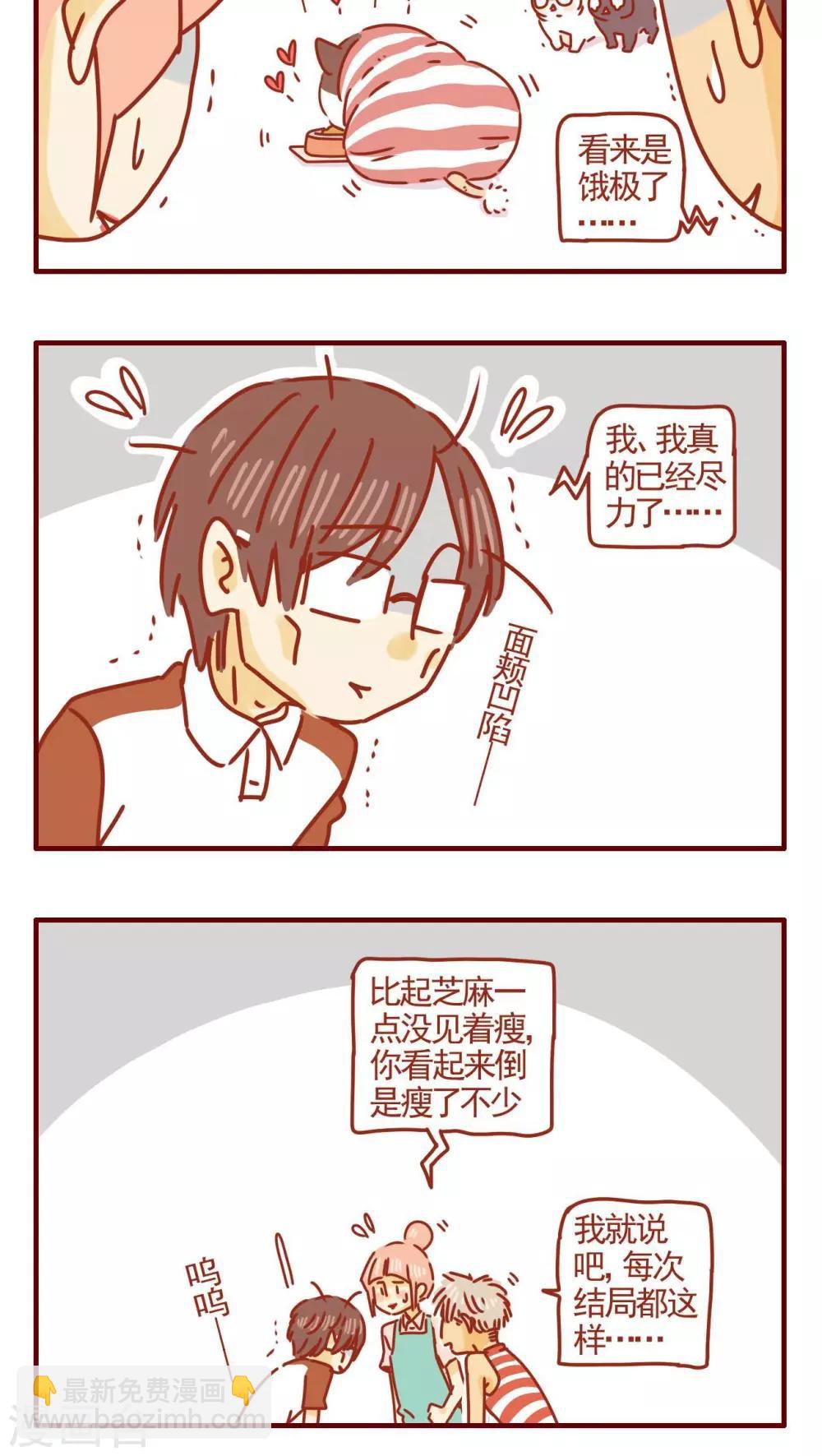 《猫咪甜品屋》第291话 第4页