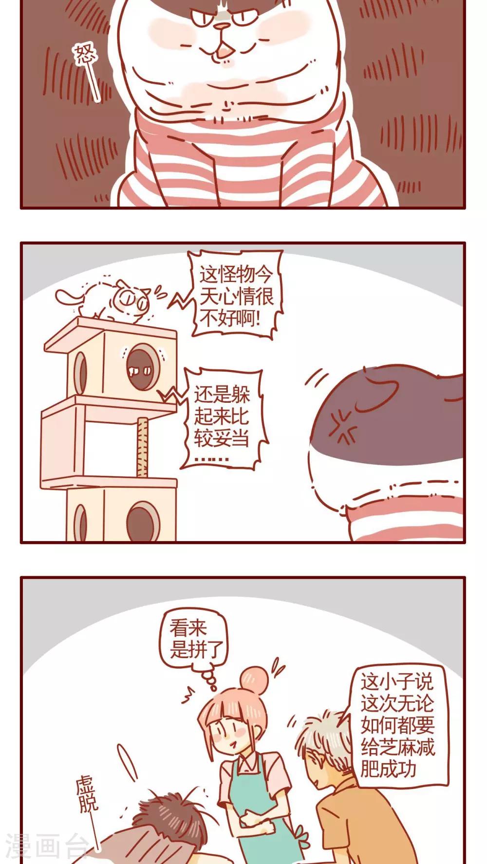 《猫咪甜品屋》第289话 第2页