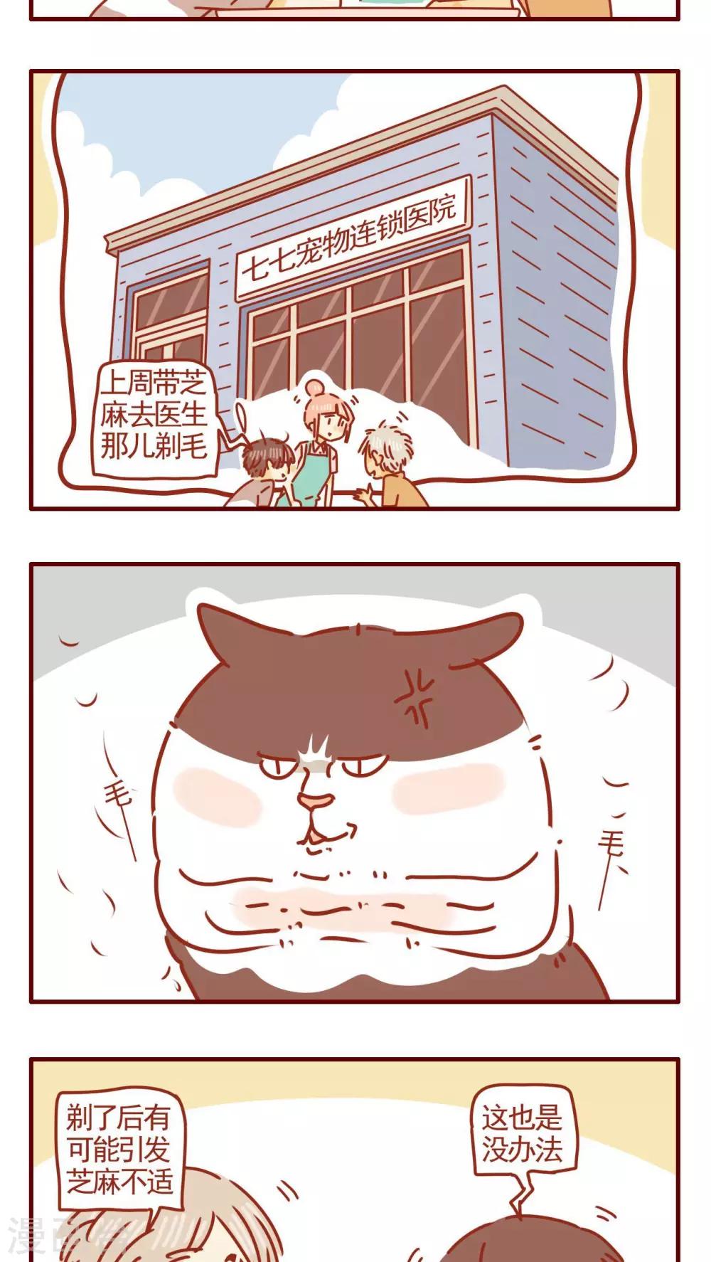 《猫咪甜品屋》第289话 第3页