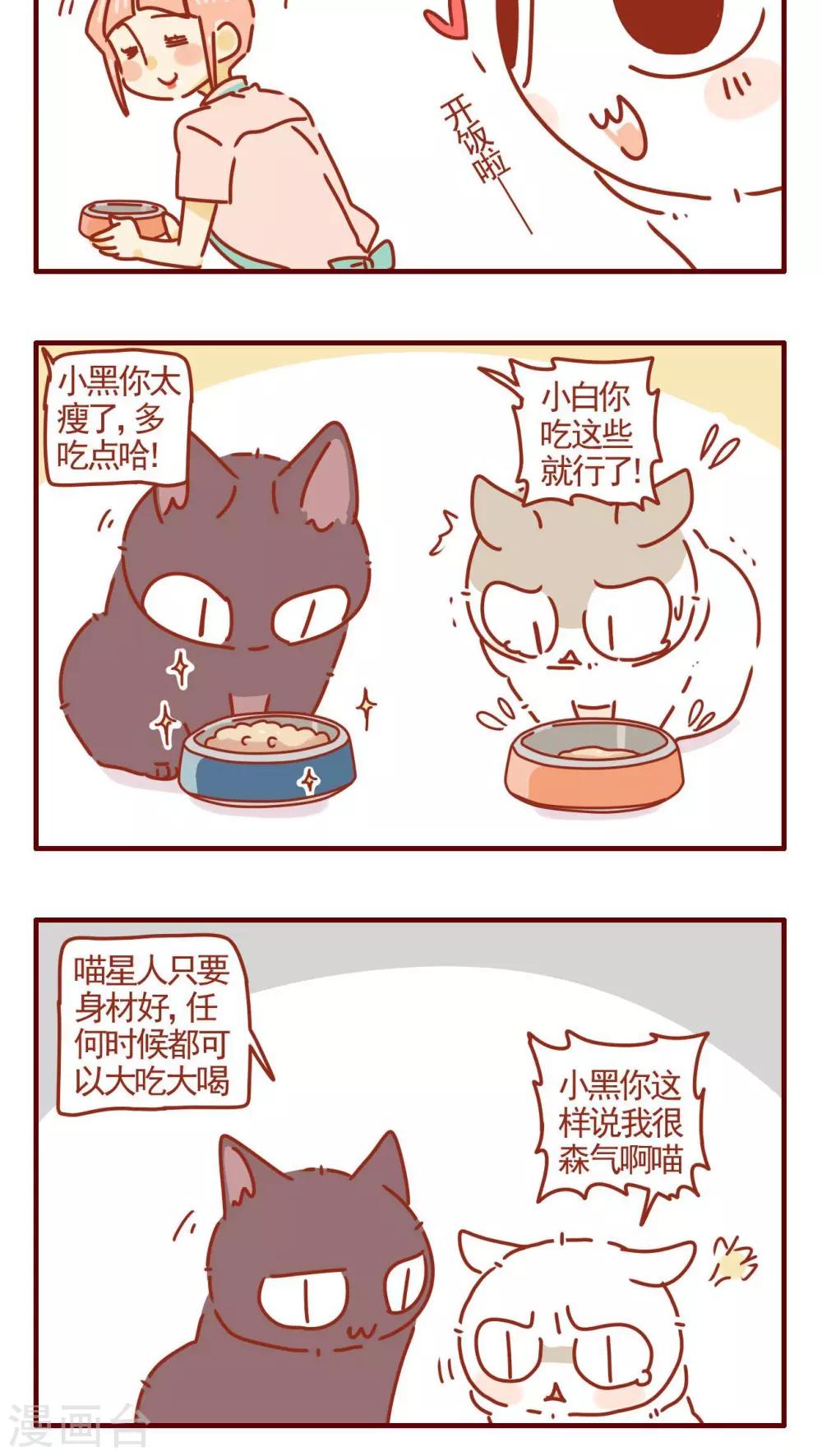 《猫咪甜品屋》第297话 第4页
