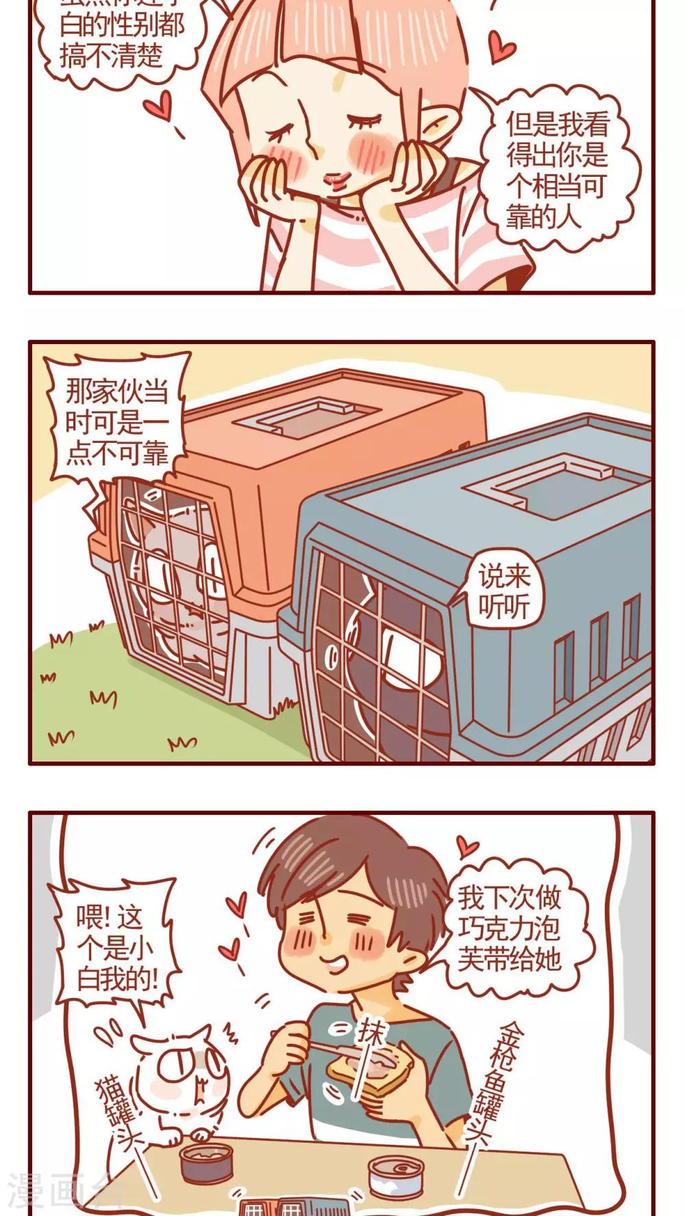 《猫咪甜品屋》第302话 第2页