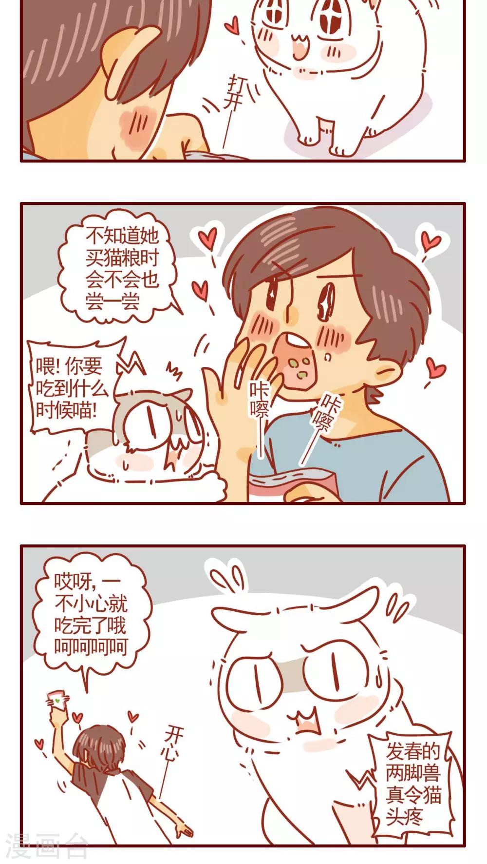 《猫咪甜品屋》第302话 第4页